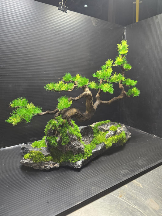 “Silent Horizon” — Preserved Botanical Sculpture A02
