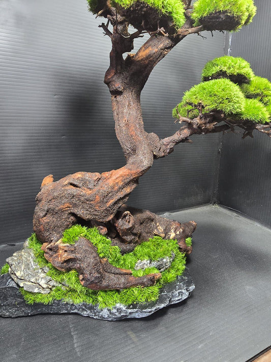 “Verdant Ascent” — Preserved Botanical Sculpture B04