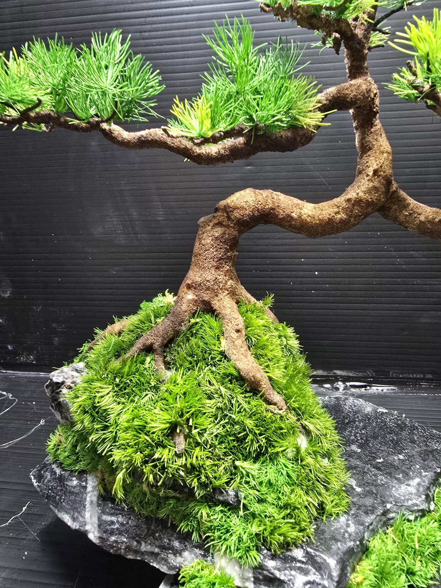 “Silent Balance” — Preserved Botanical Sculpture C01