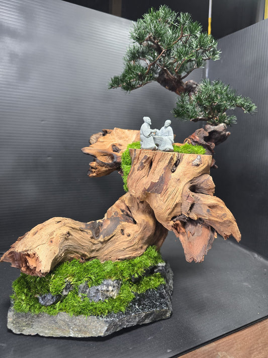 "Cliffside Dialogue" - Preserved Cliffscape Series CL02