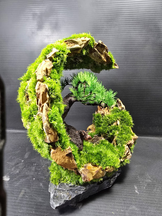 "Verdant Loop" - Preserved Eclipse Series CM01