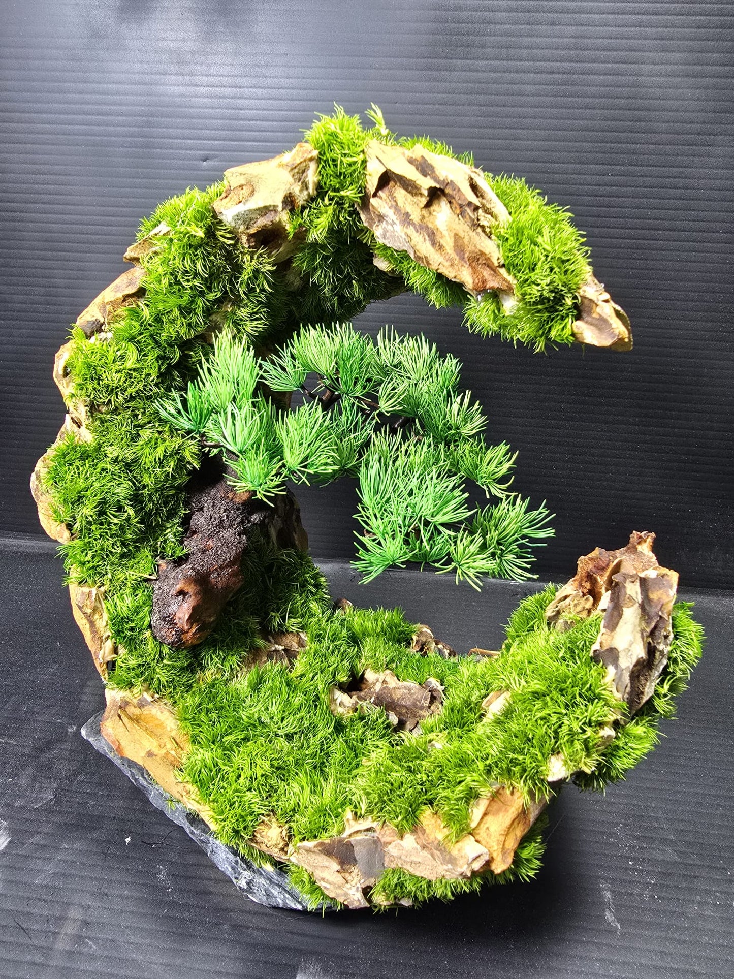 "Verdant Loop" - Preserved Eclipse Series CM01