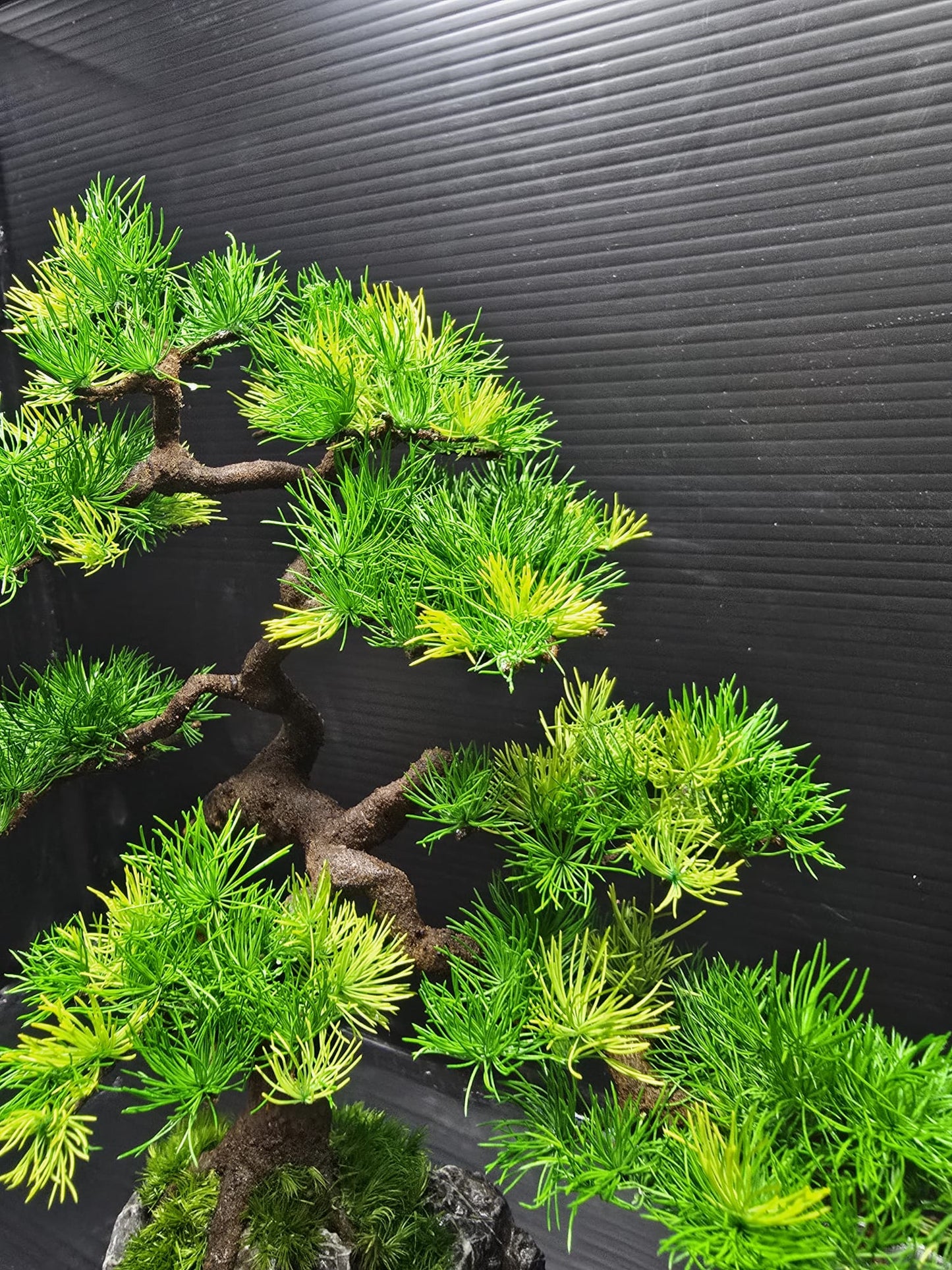 “Quiet Elevation” — Preserved Botanical Sculpture D02