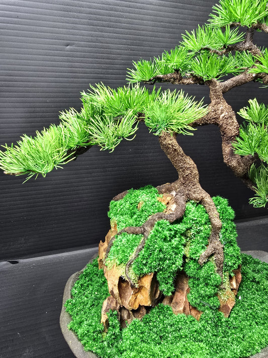 "Rooted Serenity" - Preserved Botanical Sculpture D03