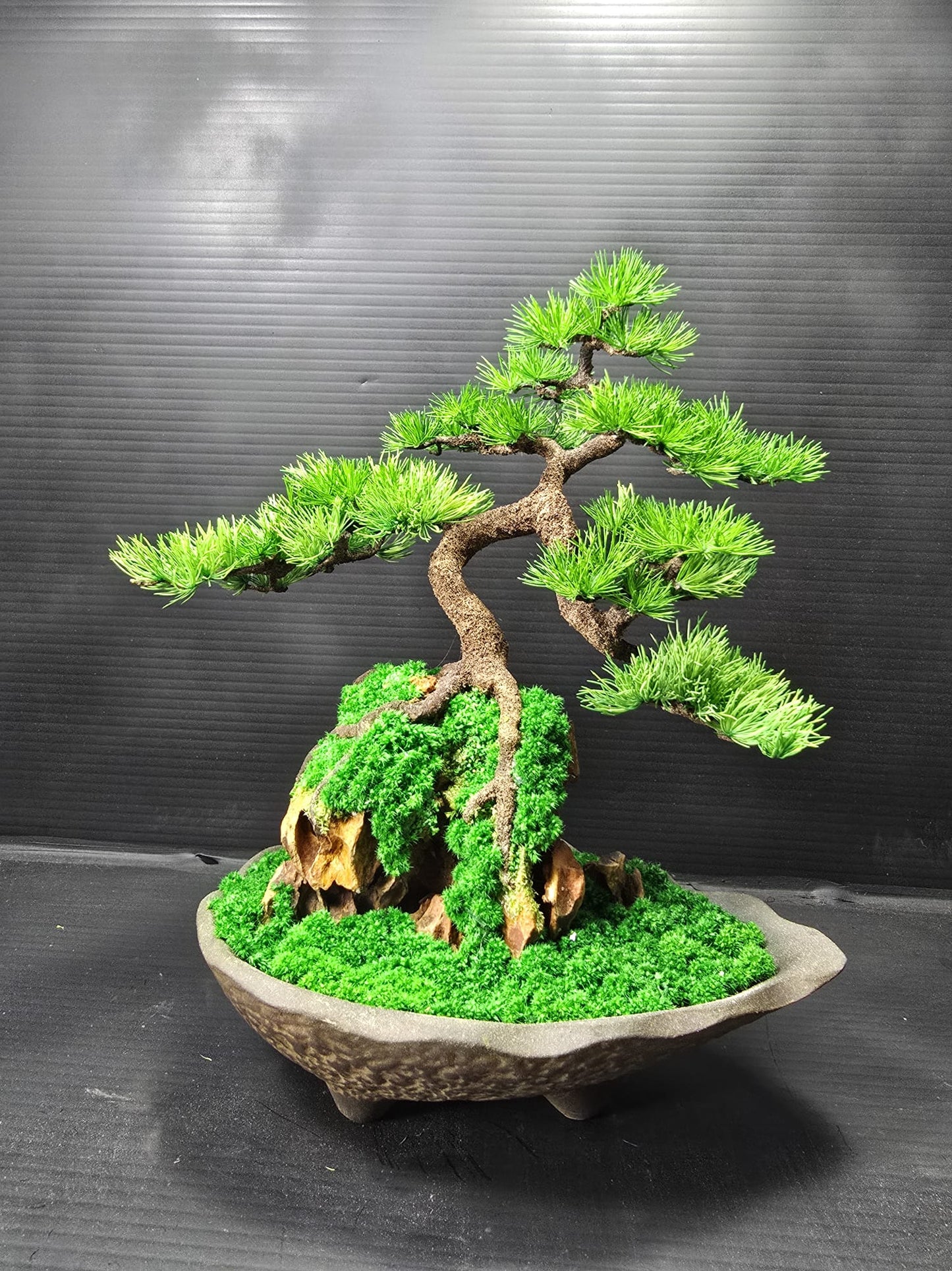 "Rooted Serenity" - Preserved Botanical Sculpture D03