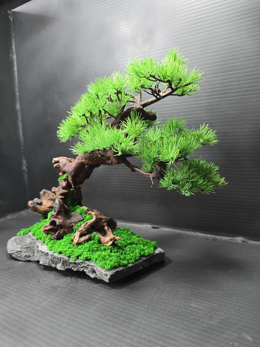 "Windswept Horizon" - Preserved Botanical Sculpture D04