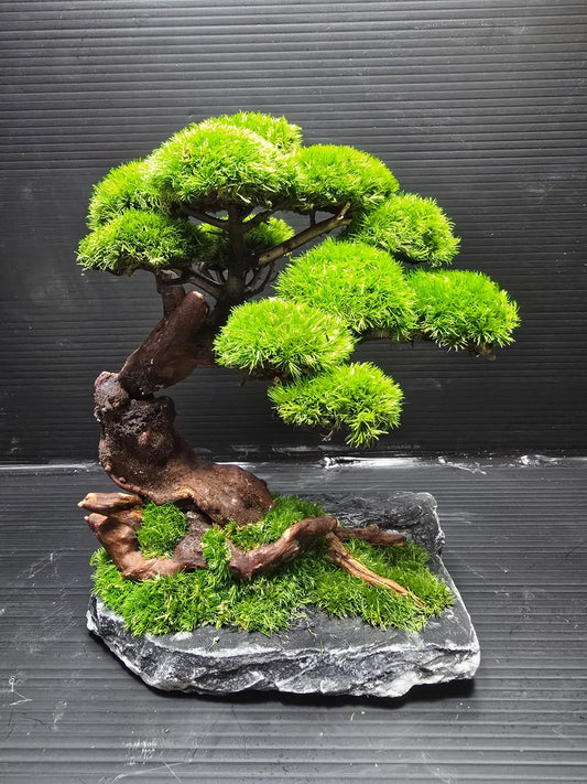 “Timber Serenity” — Preserved Botanical Sculpture E01