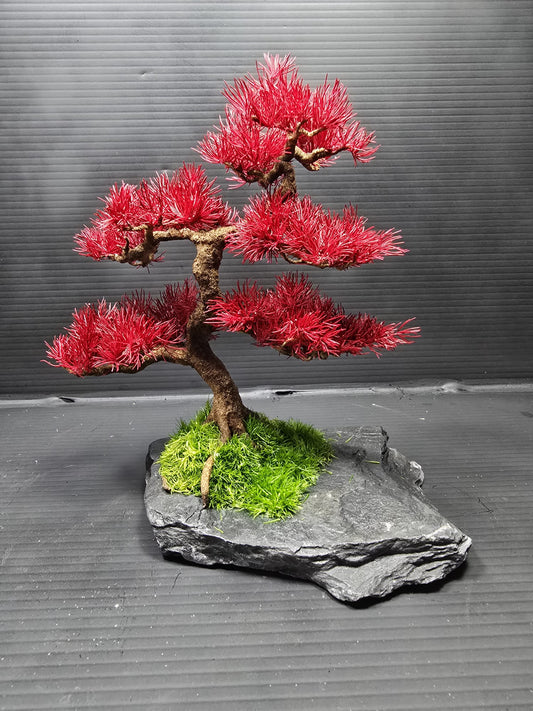 “Scarlet Balance" — Preserved Botanical Sculpture E04