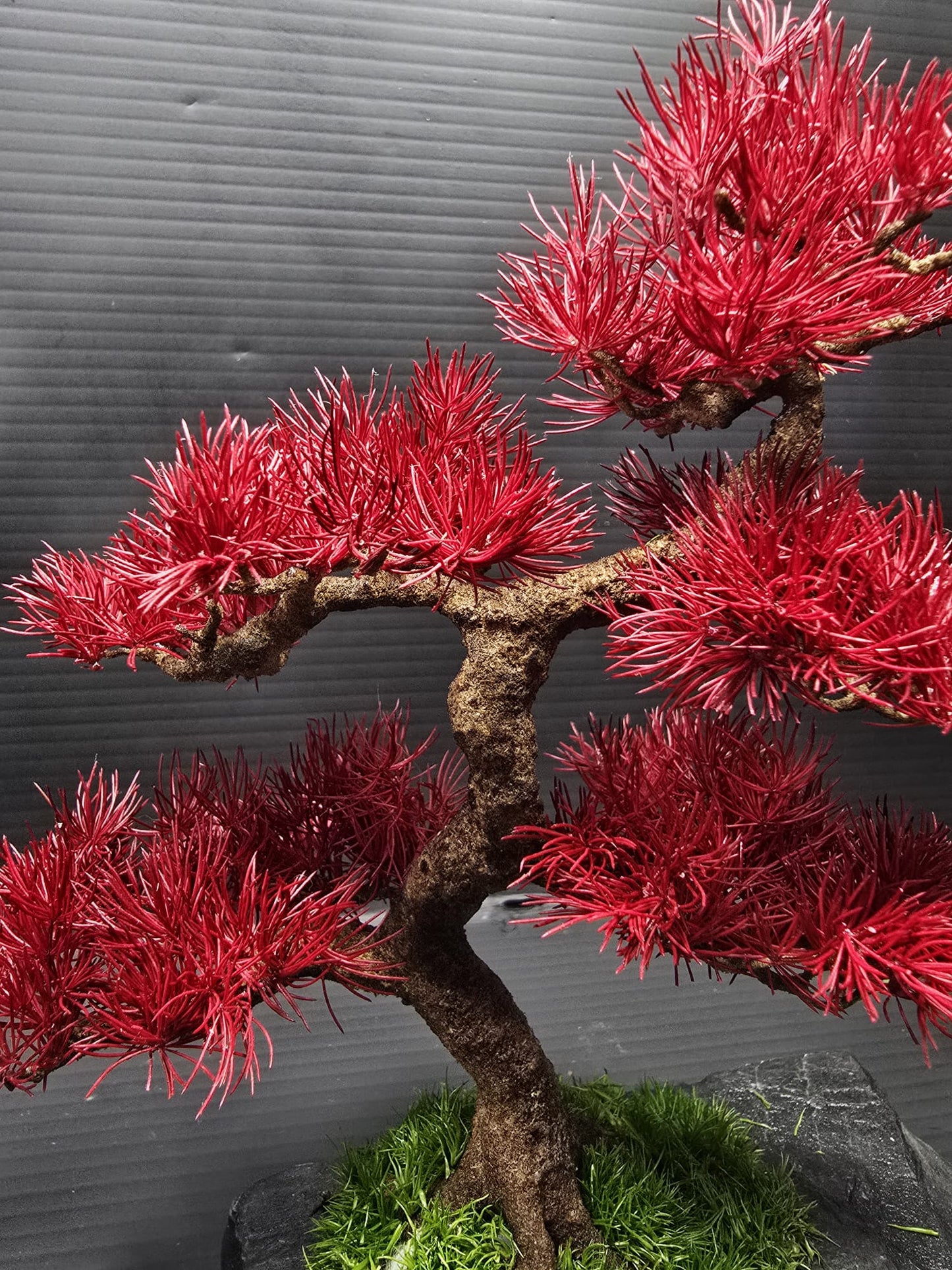 “Scarlet Balance" — Preserved Botanical Sculpture E04