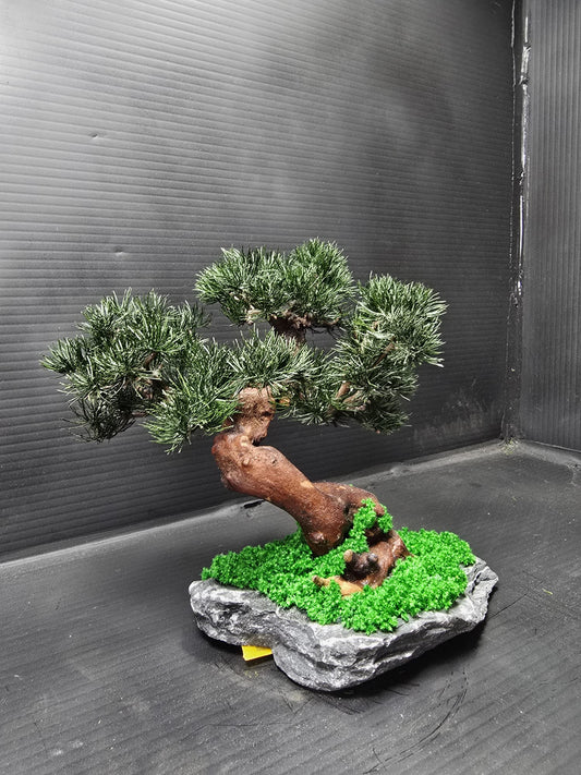 “Lowland Serenity” — Preserved Botanical Sculpture E05