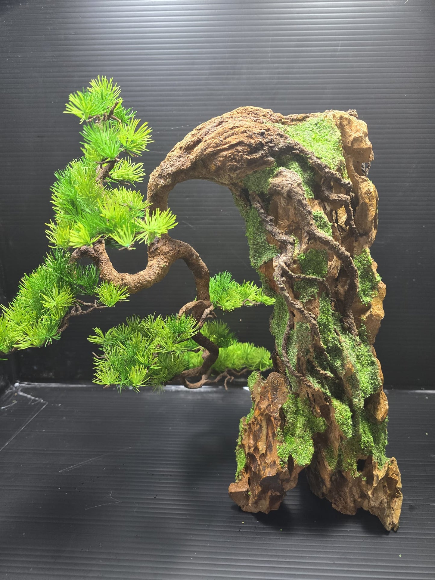 “Whispers of the Cliff” — Preserved Botanical Sculpture A01