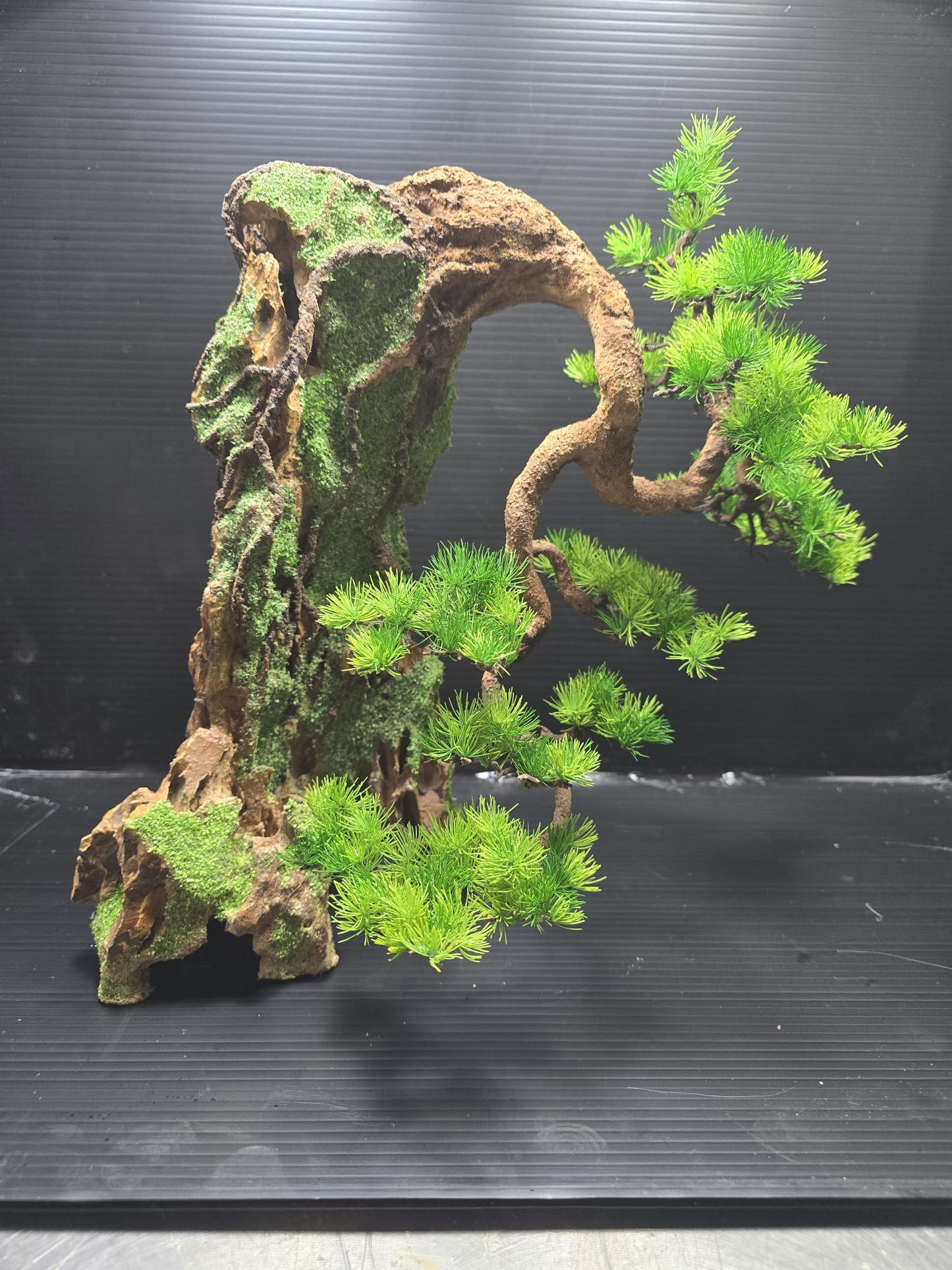 “Whispers of the Cliff” — Preserved Botanical Sculpture A01