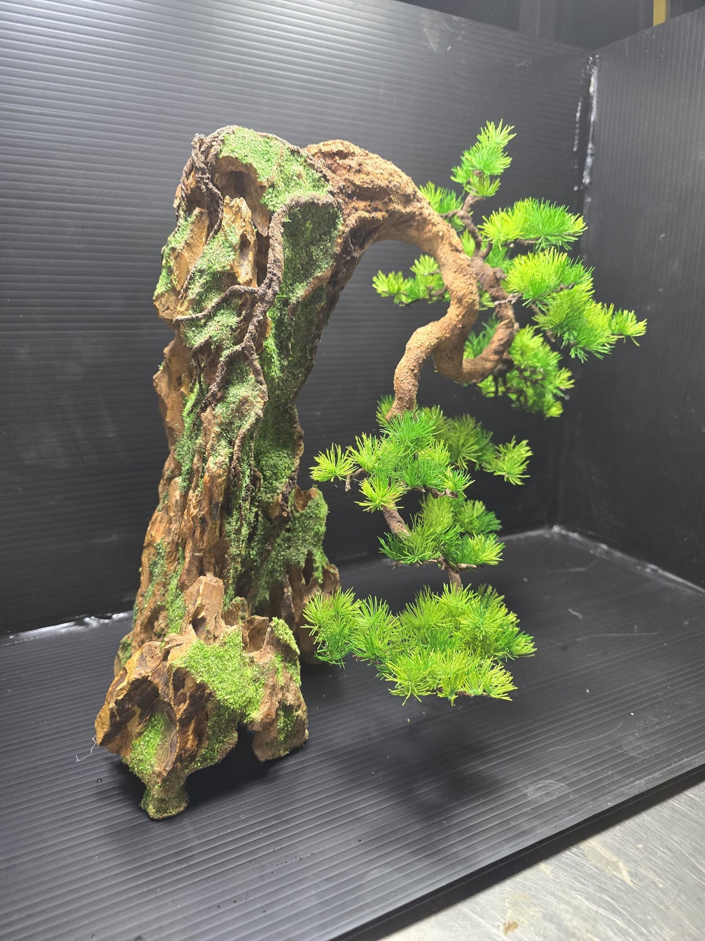 “Whispers of the Cliff” — Preserved Botanical Sculpture A01