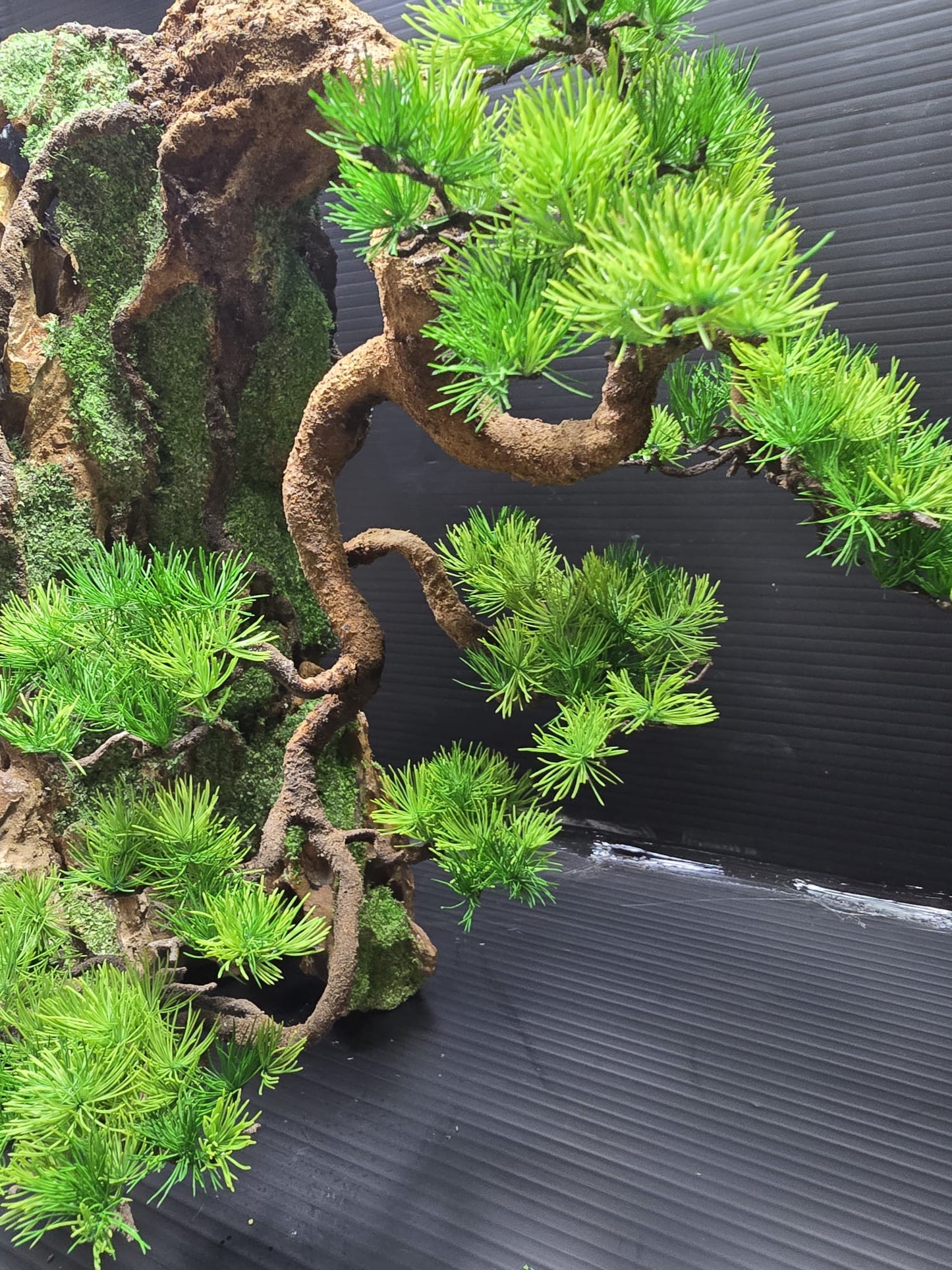 “Whispers of the Cliff” — Preserved Botanical Sculpture A01