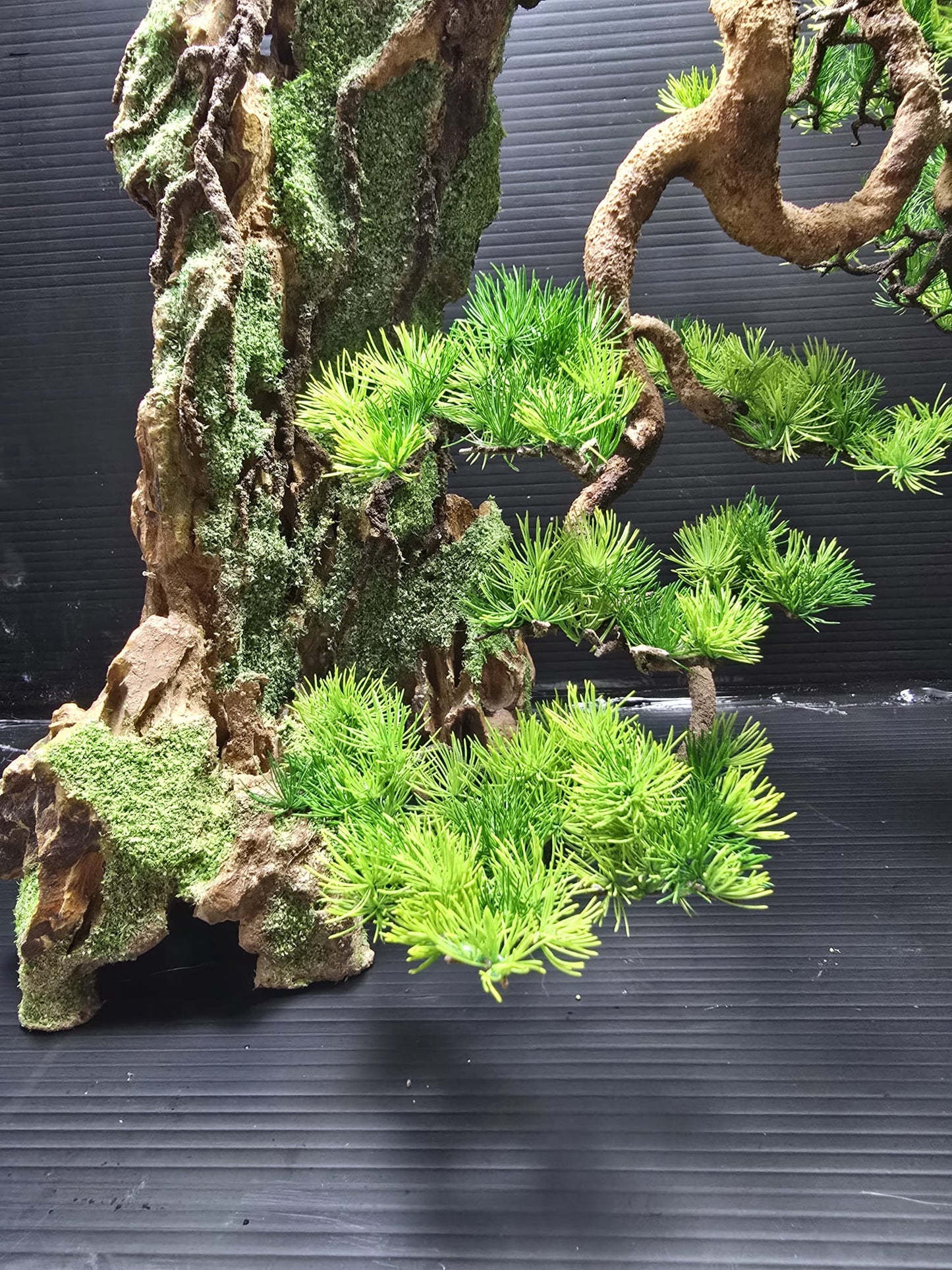 “Whispers of the Cliff” — Preserved Botanical Sculpture A01