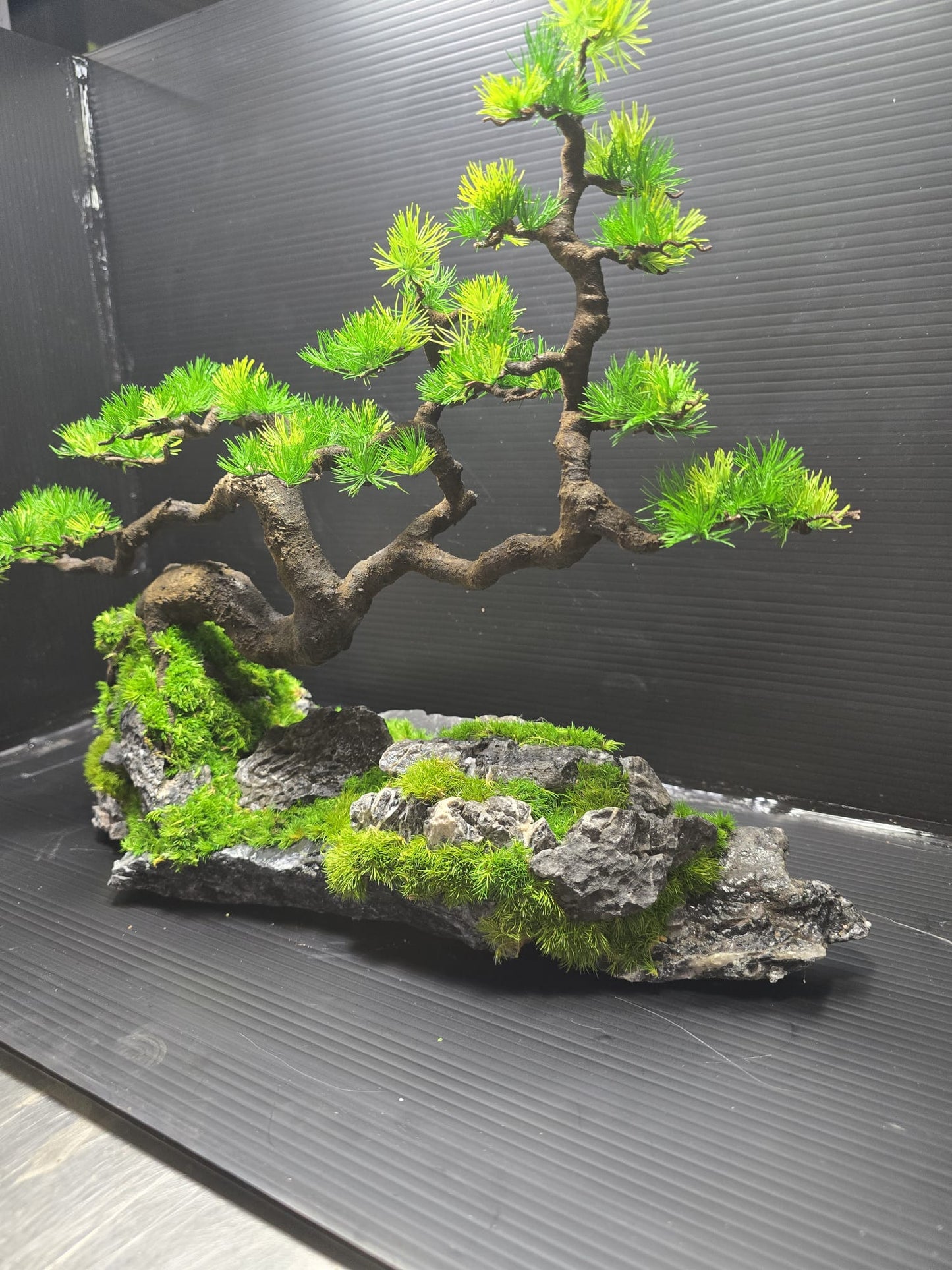 “Silent Horizon” — Preserved Botanical Sculpture A02