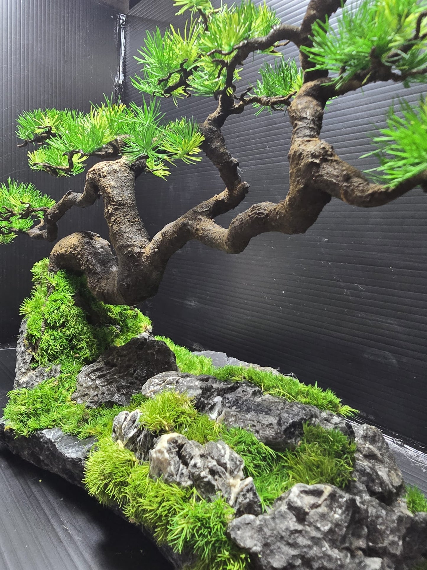 “Silent Horizon” — Preserved Botanical Sculpture A02