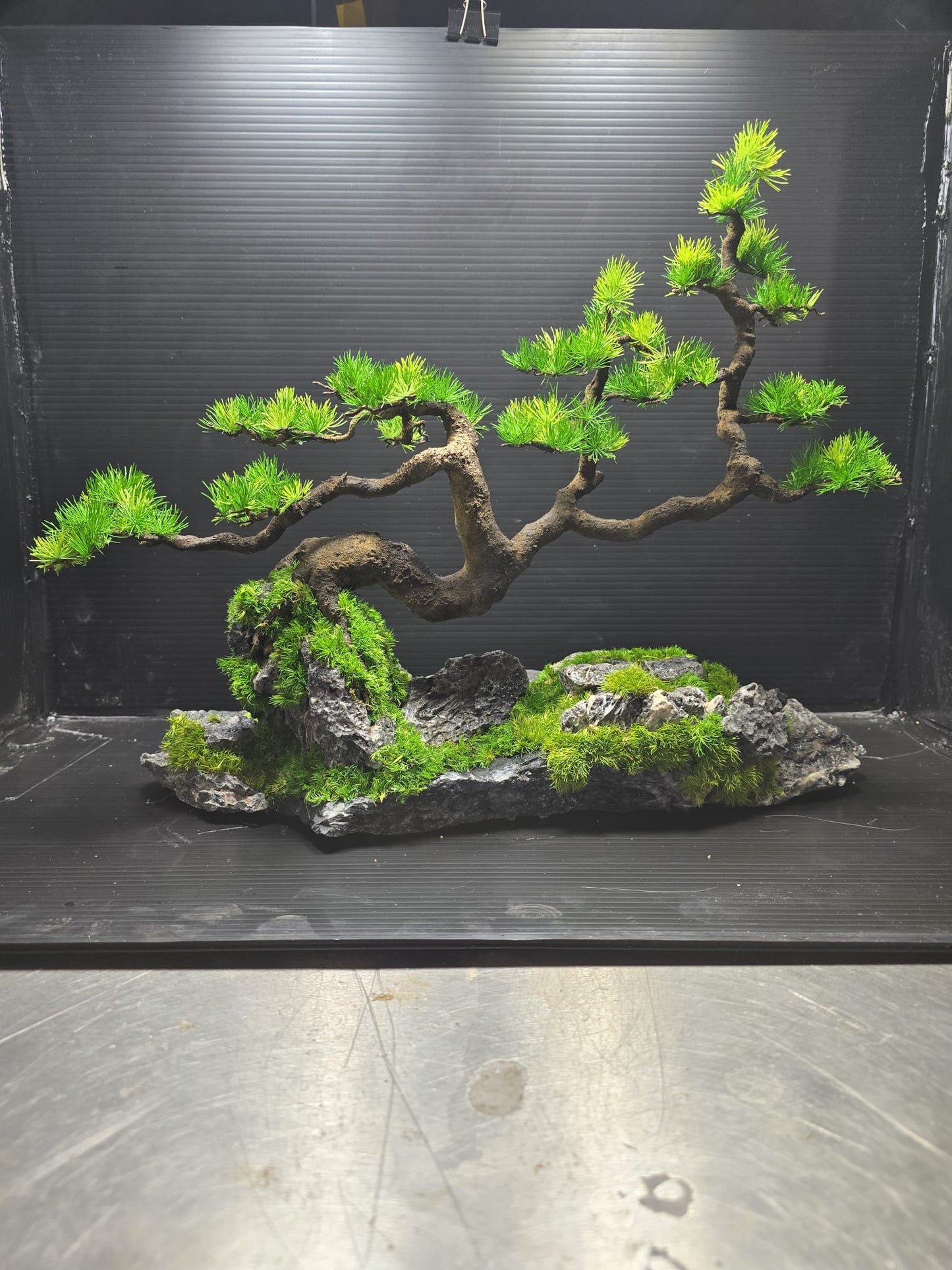 “Silent Horizon” — Preserved Botanical Sculpture A02