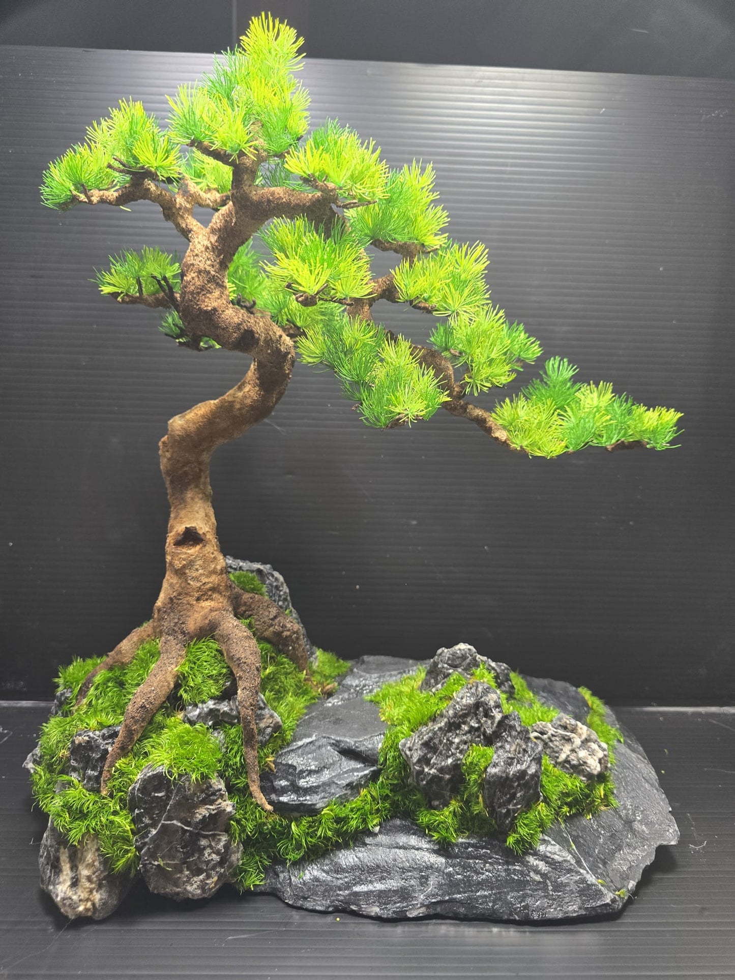 “Rooted Poise” — Preserved Botanical Sculpture A03