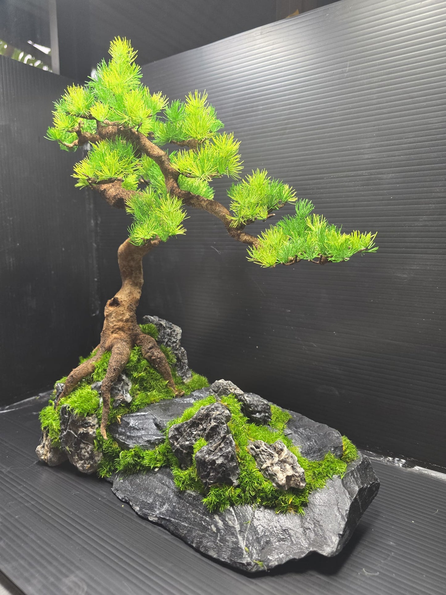“Rooted Poise” — Preserved Botanical Sculpture A03