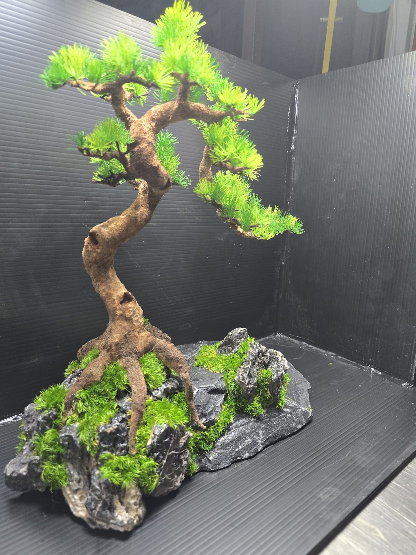 “Rooted Poise” — Preserved Botanical Sculpture A03