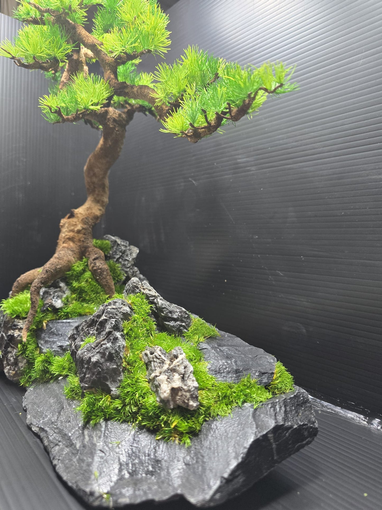 “Rooted Poise” — Preserved Botanical Sculpture A03