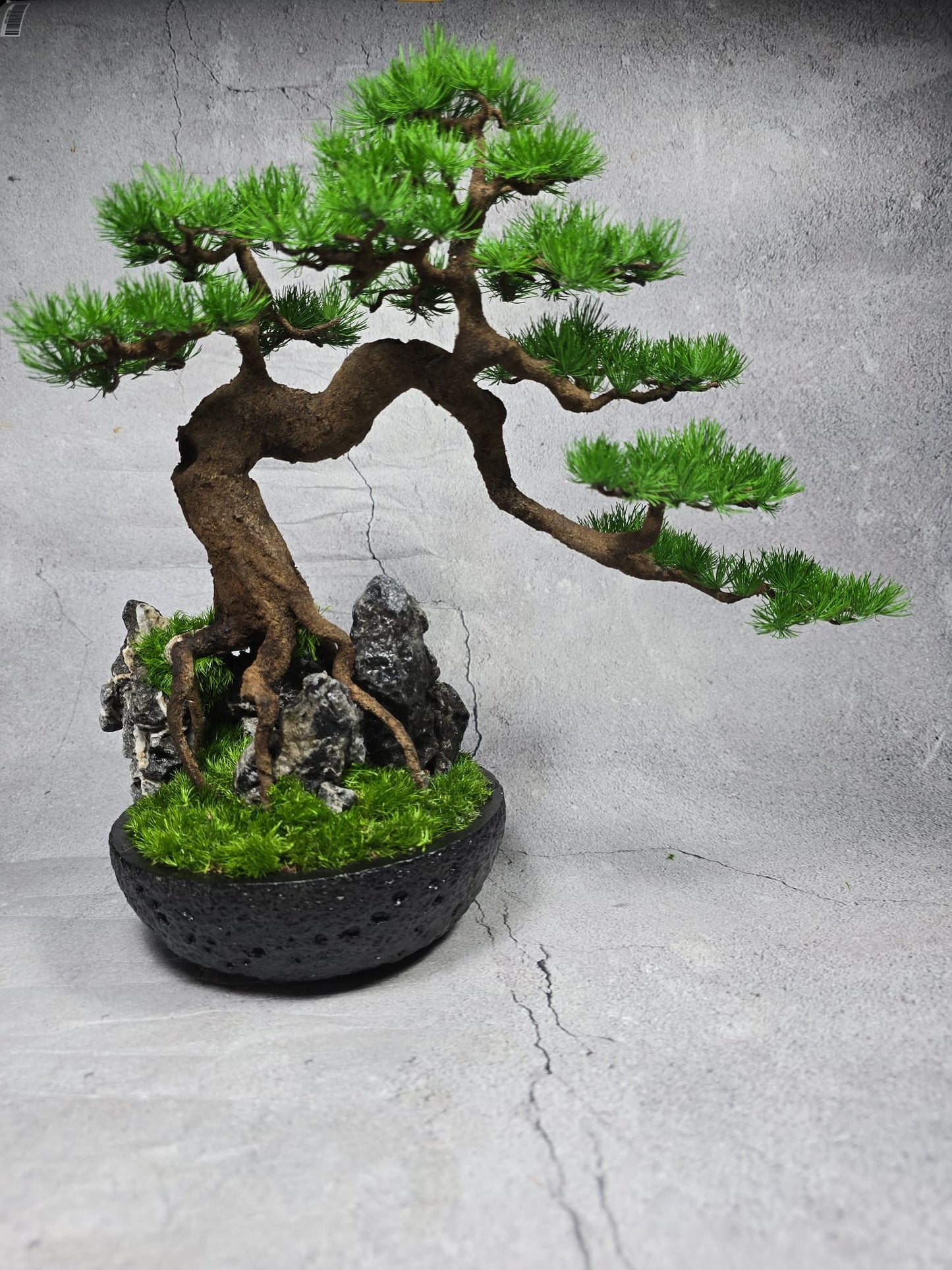 “Whispers of Stillness” — Preserved Botanical Sculpture A04