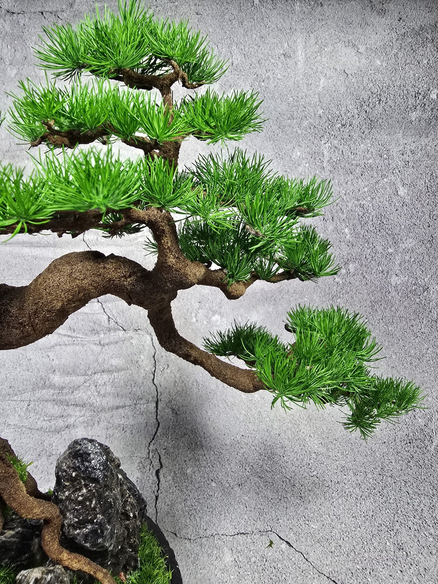 “Whispers of Stillness” — Preserved Botanical Sculpture A04