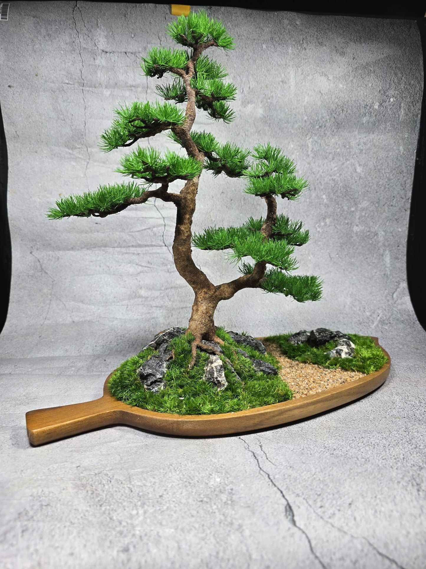 “Still Ground” — Preserved Botanical Sculpture A05