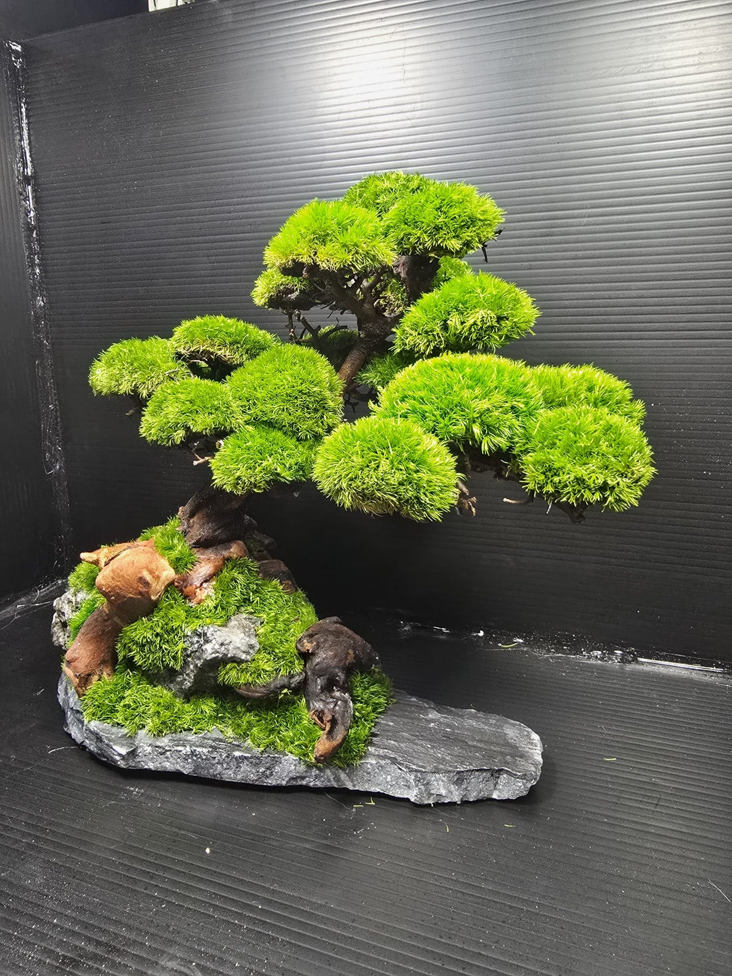 “Silent Grove” — Preserved Botanical Sculpture B02