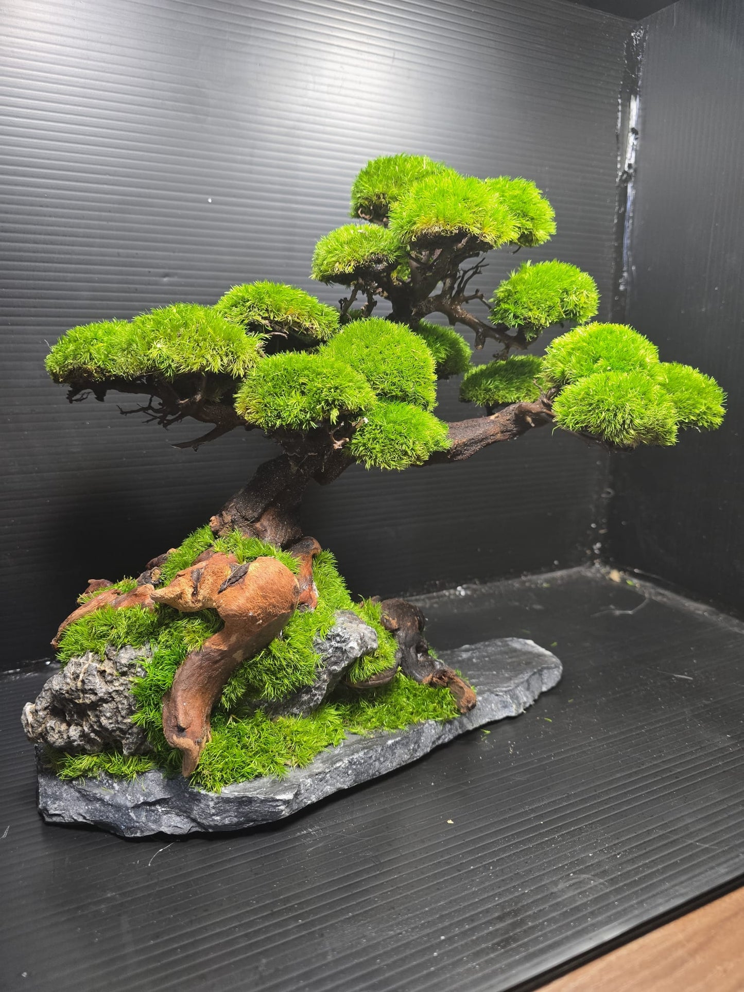“Silent Grove” — Preserved Botanical Sculpture B02