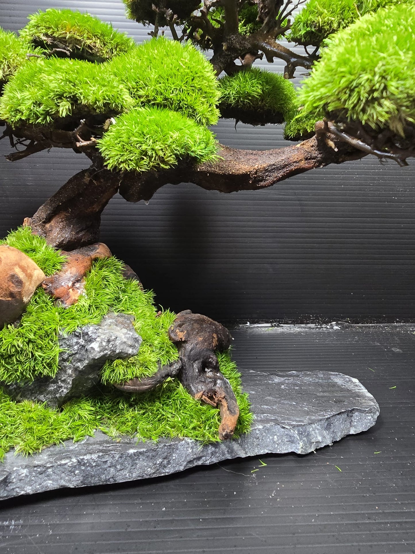 “Silent Grove” — Preserved Botanical Sculpture B02