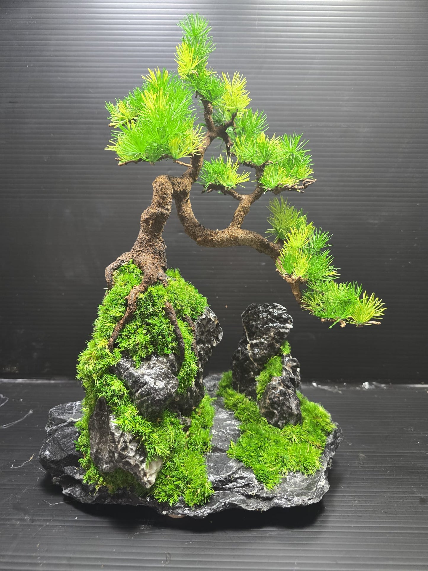 “Summit Whisper” — Preserved Botanical Sculpture B03