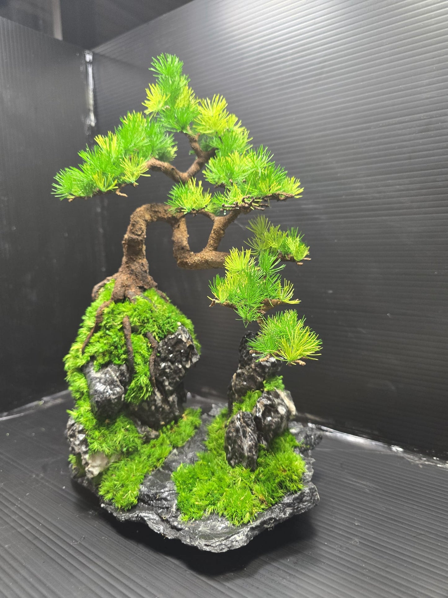 “Summit Whisper” — Preserved Botanical Sculpture B03