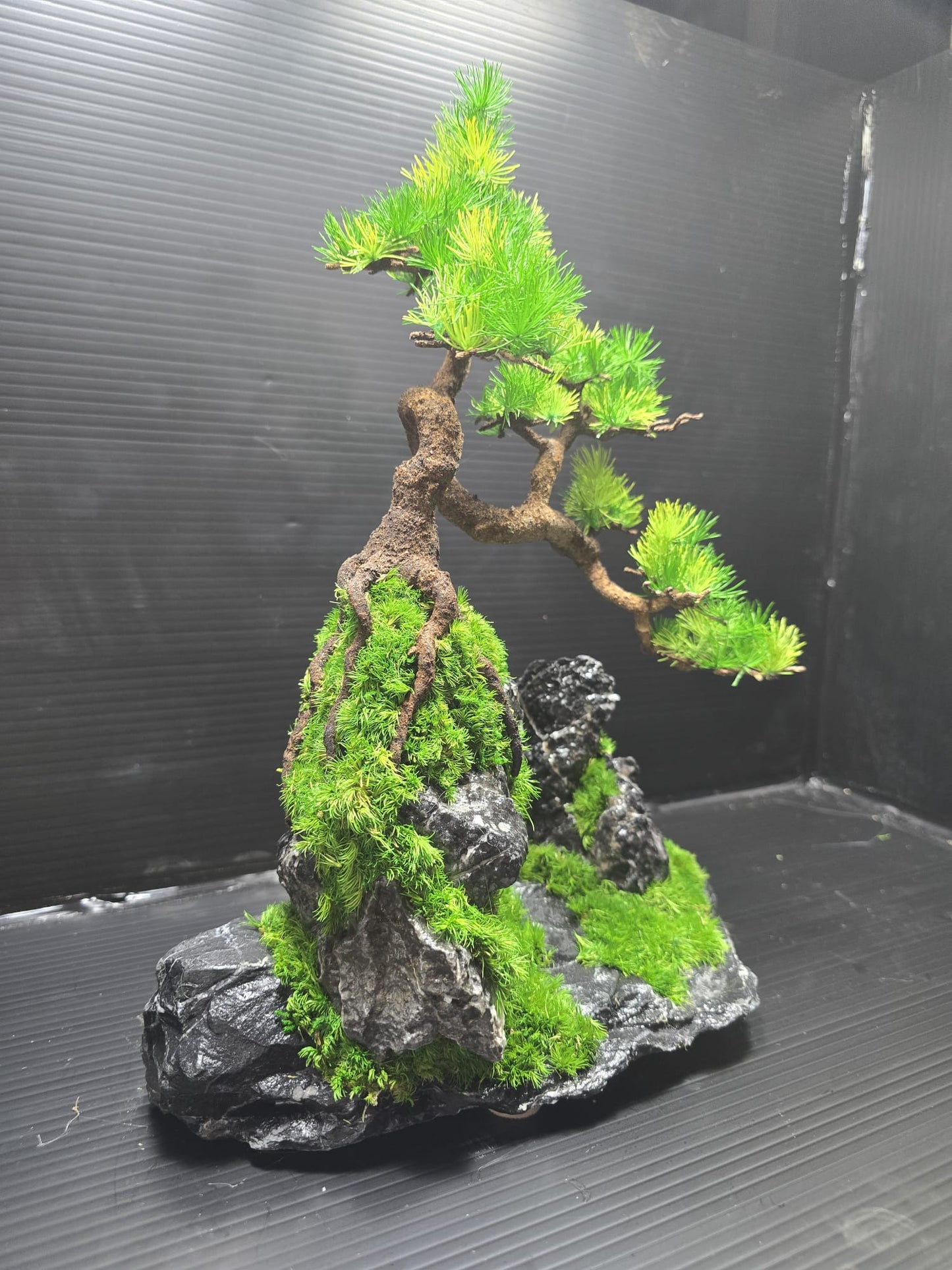 “Summit Whisper” — Preserved Botanical Sculpture B03