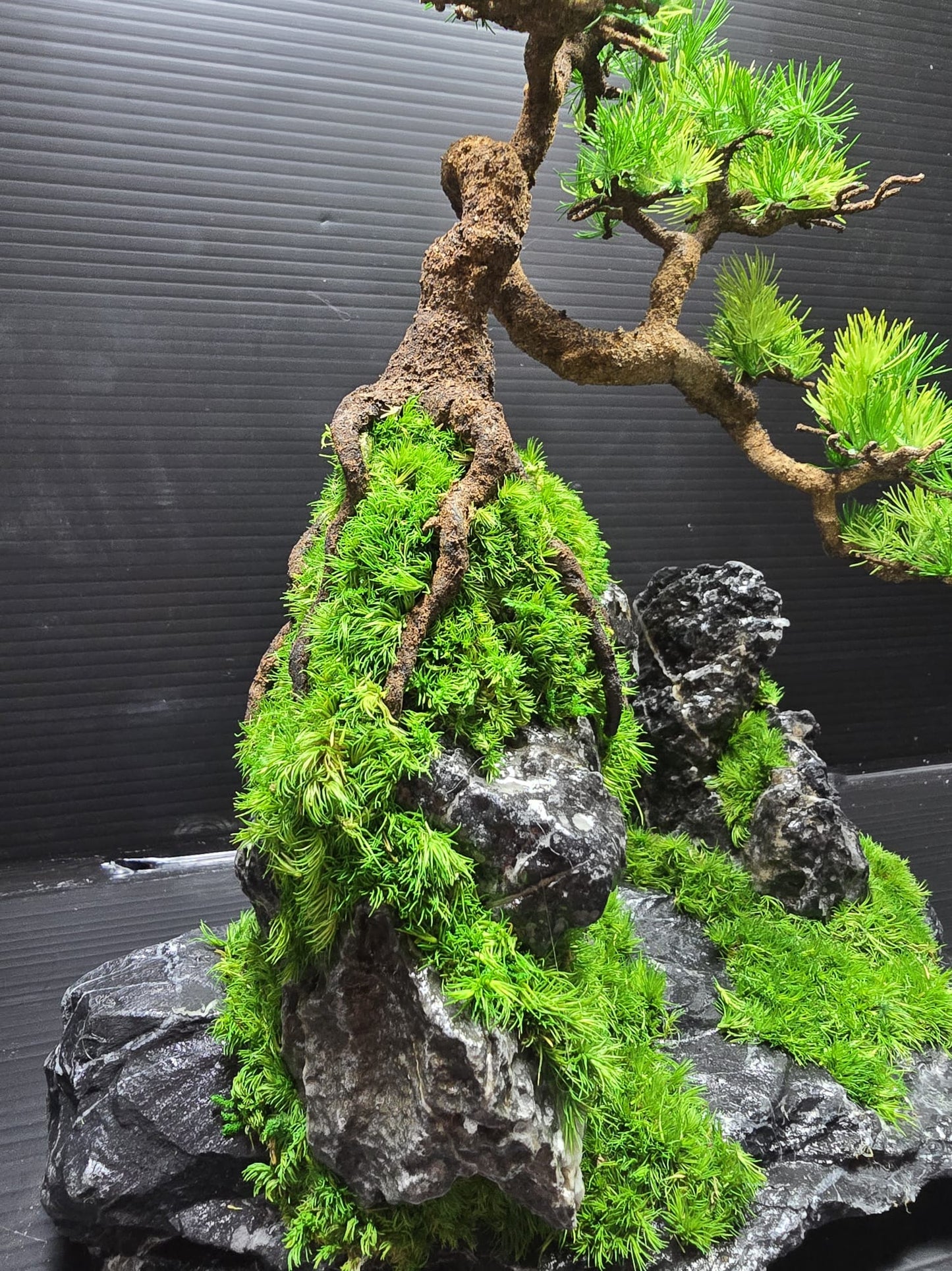 “Summit Whisper” — Preserved Botanical Sculpture B03