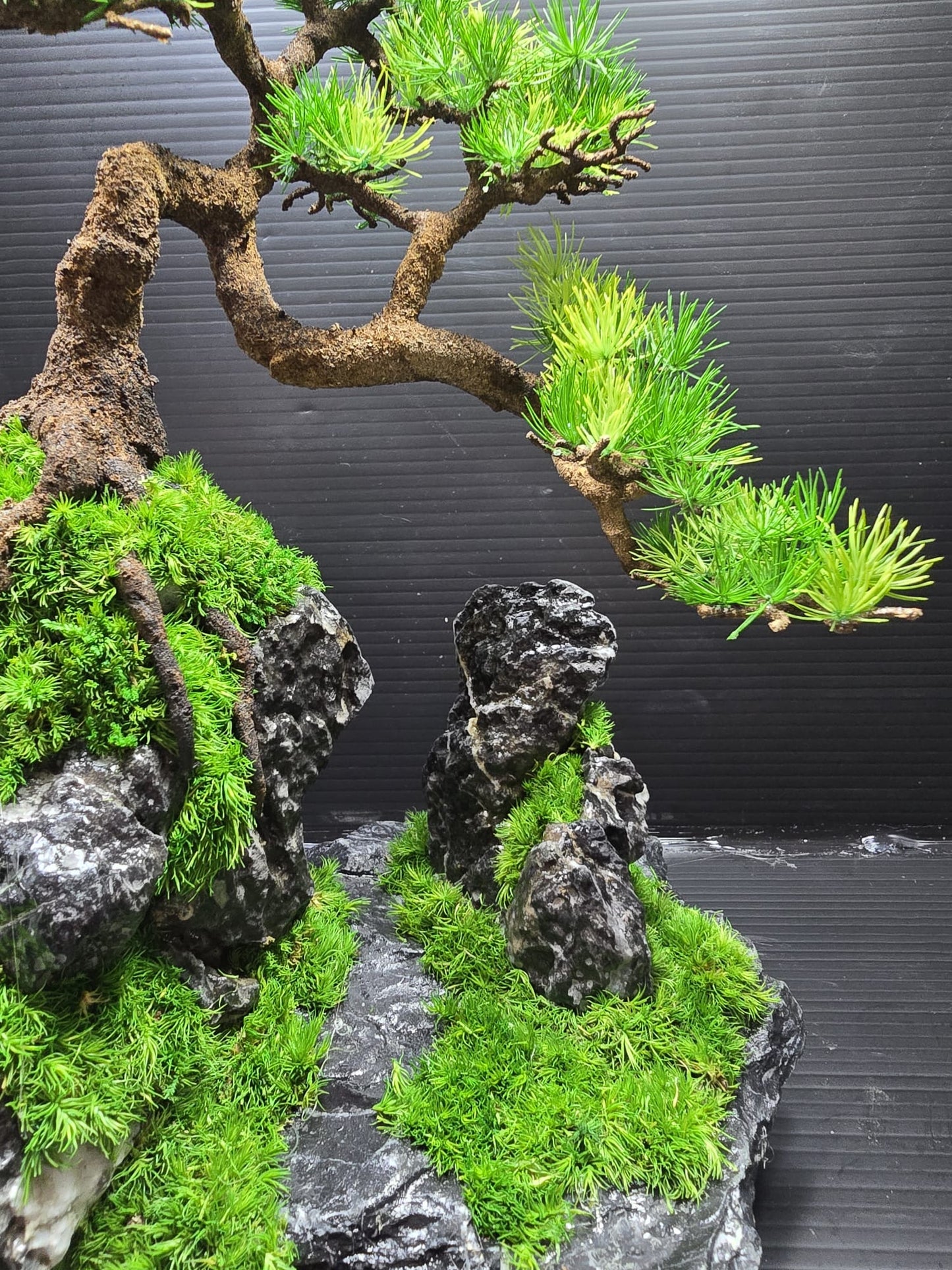 “Summit Whisper” — Preserved Botanical Sculpture B03