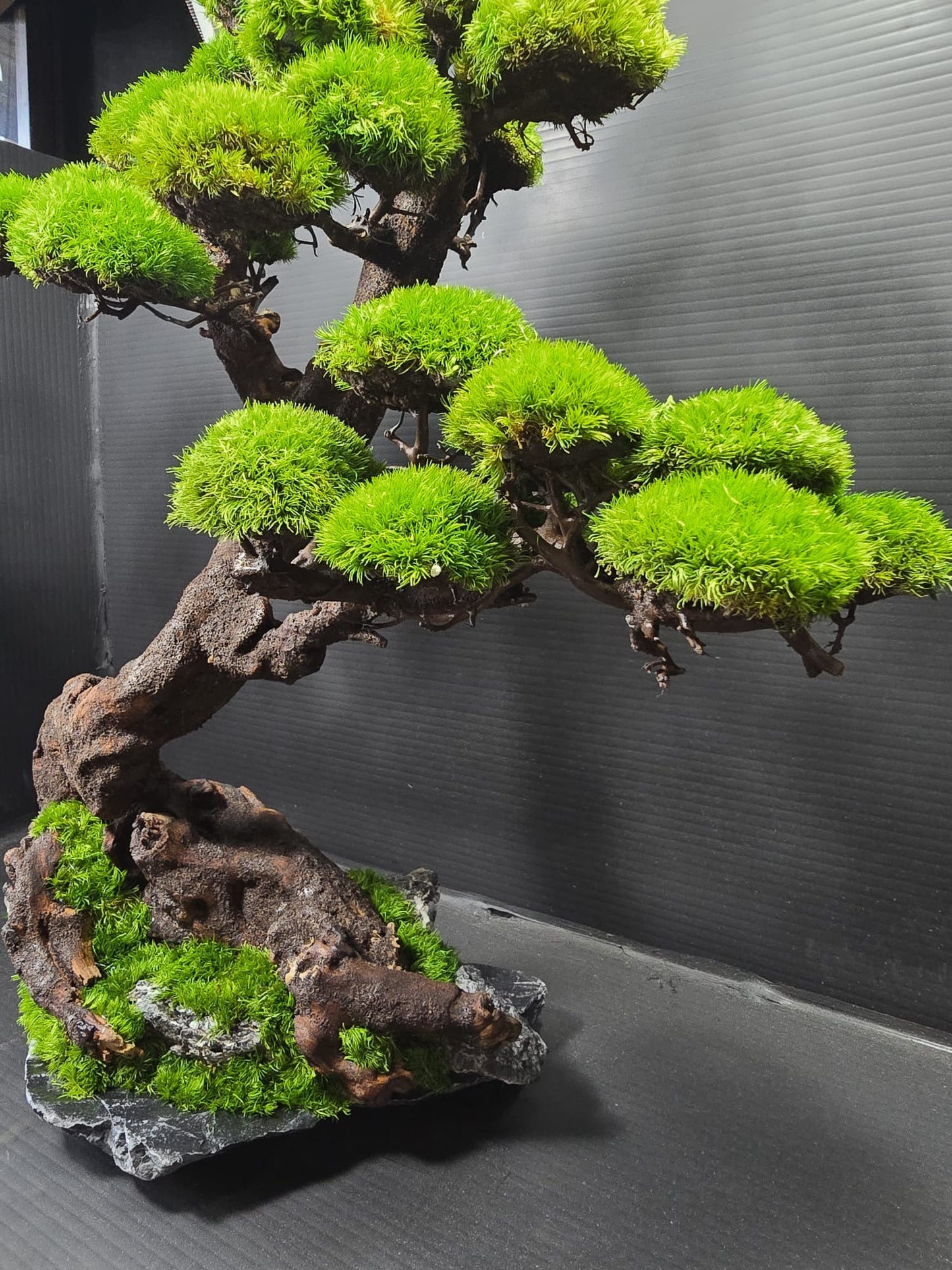“Verdant Ascent” — Preserved Botanical Sculpture B04