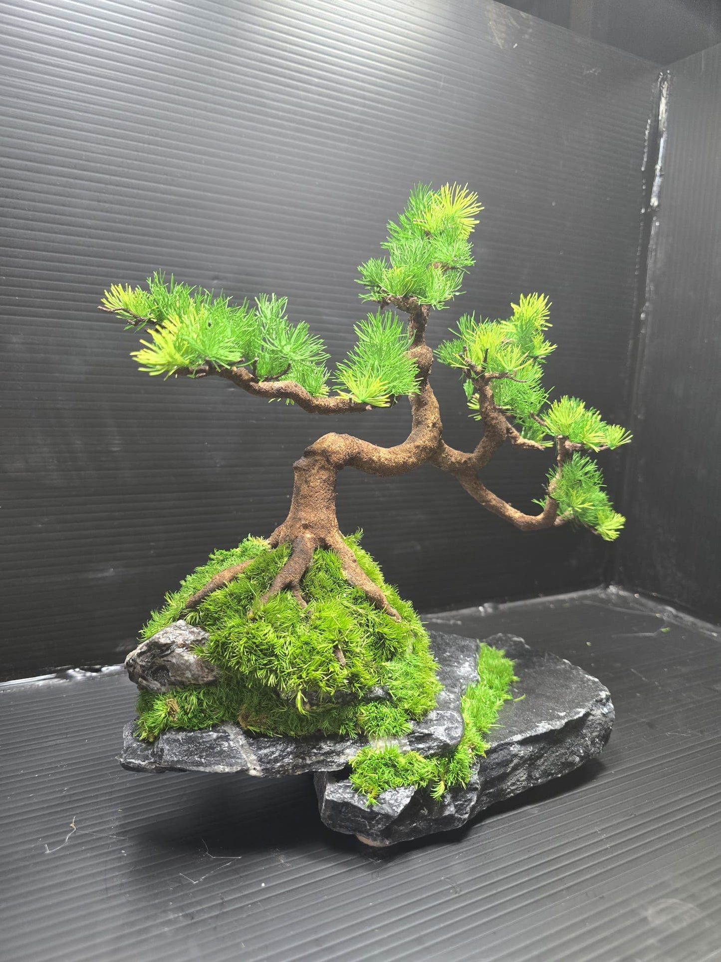 “Silent Balance” — Preserved Botanical Sculpture C01