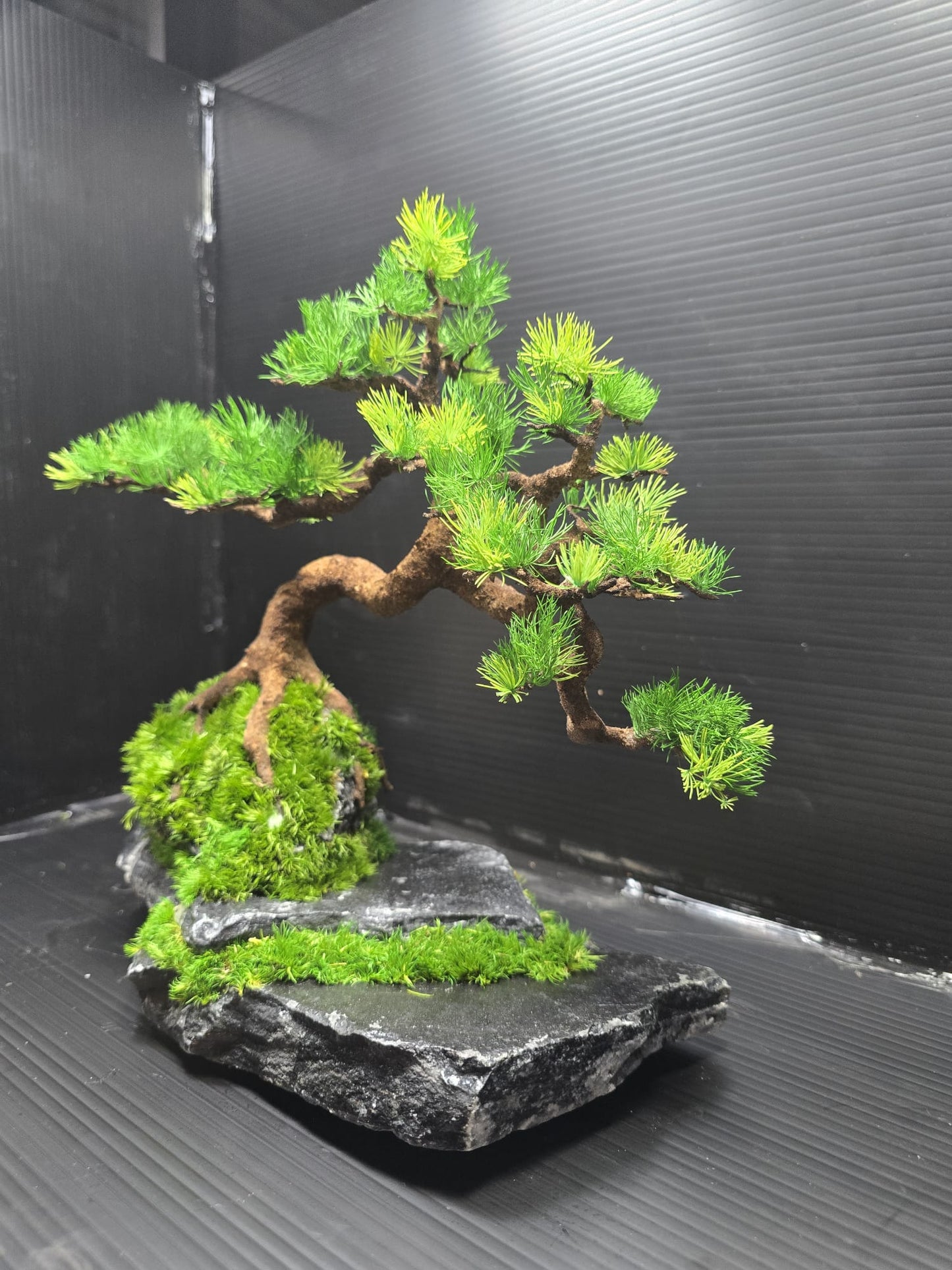 “Silent Balance” — Preserved Botanical Sculpture C01