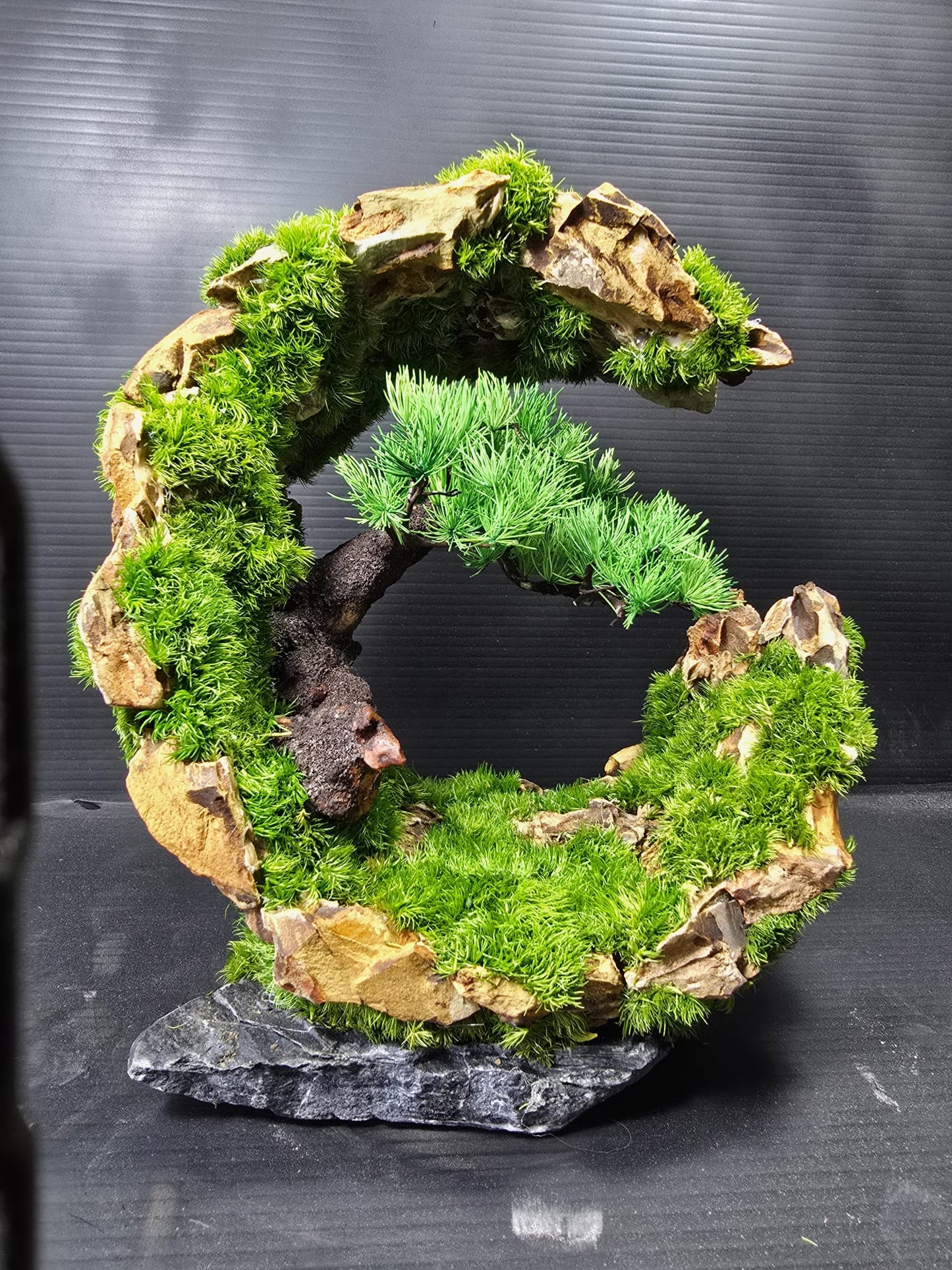 "Verdant Loop" - Preserved Eclipse Series CM01
