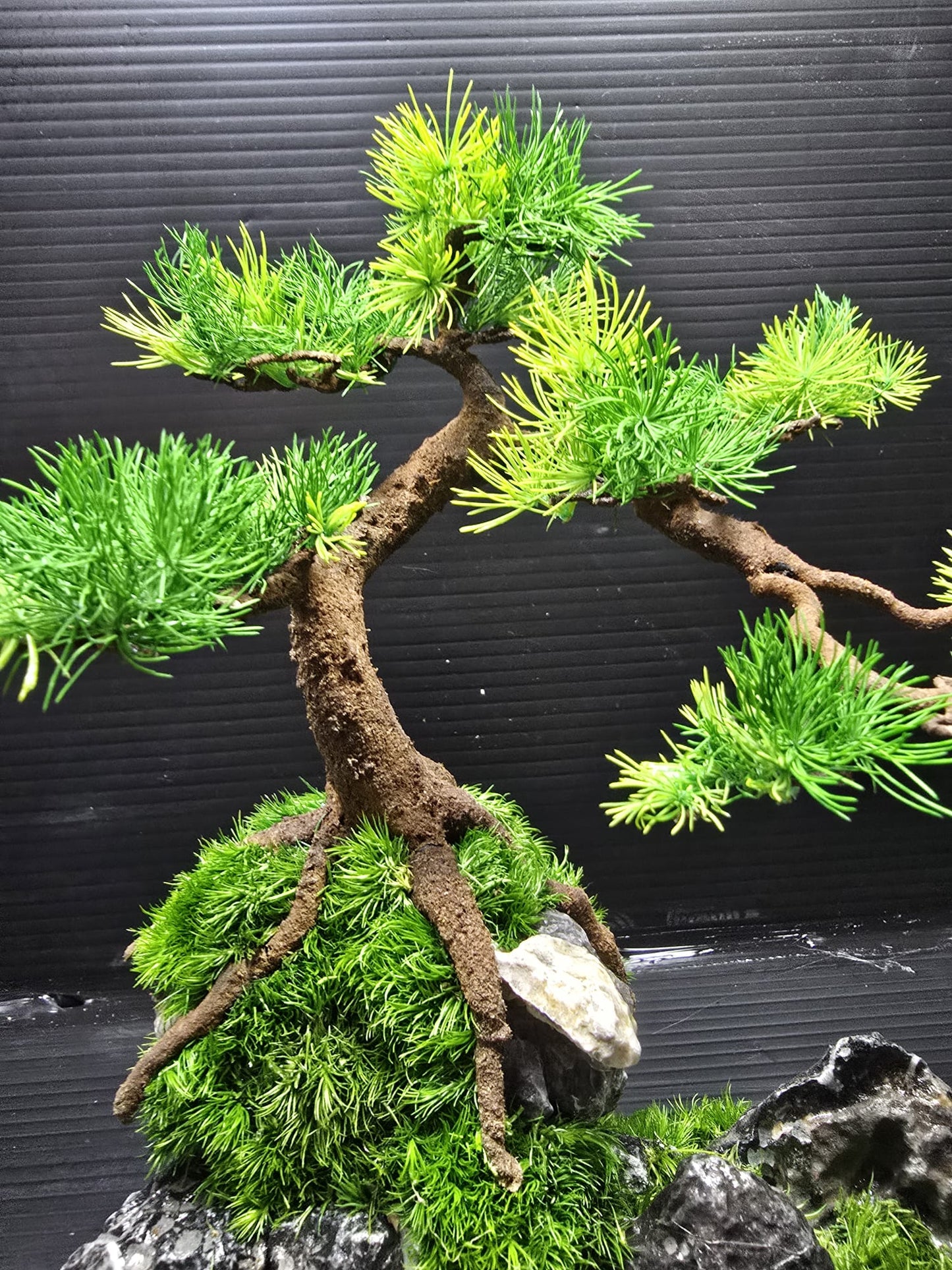 “Stonebound Grace” — Preserved Botanical Sculpture D01