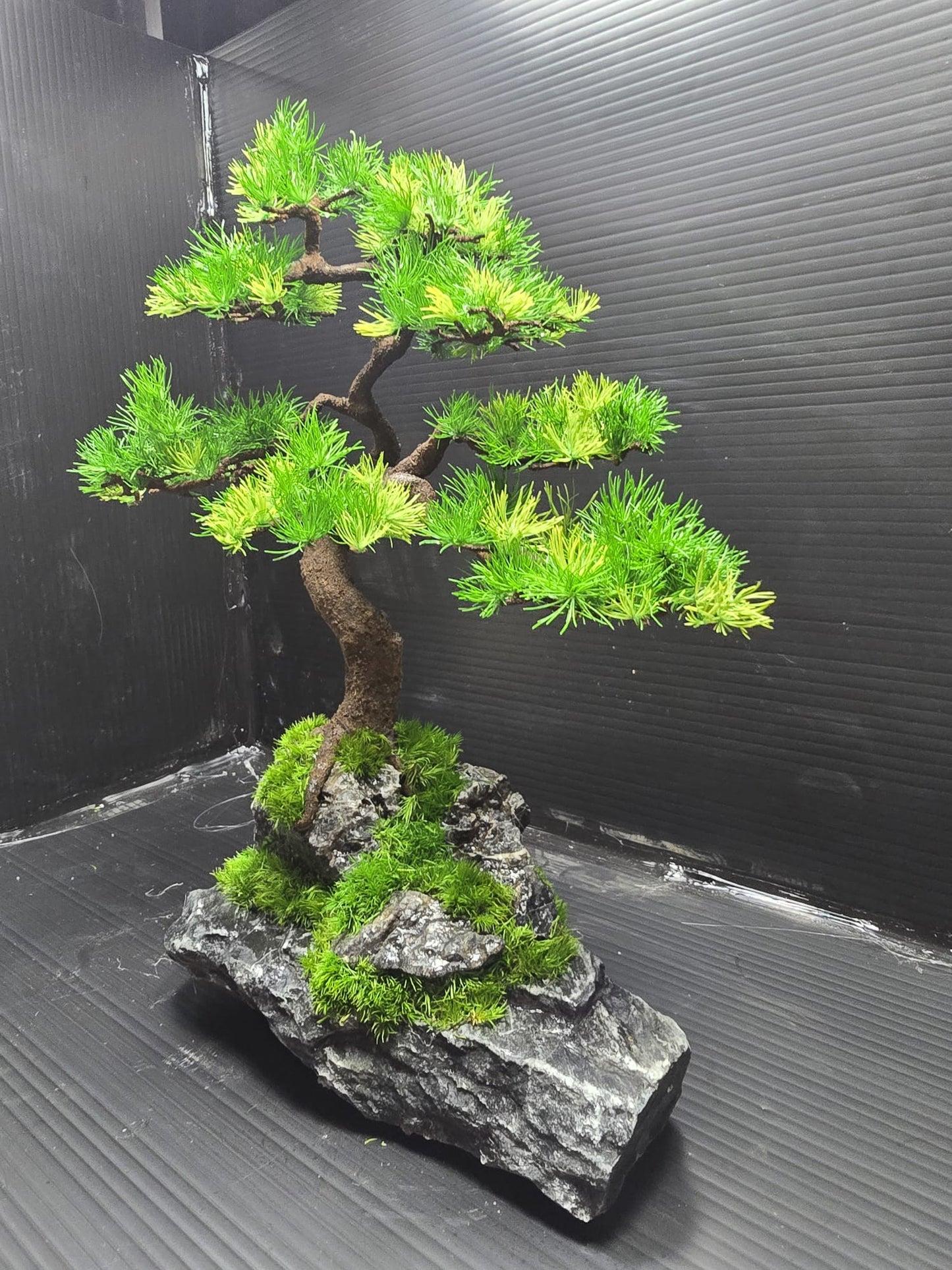 “Quiet Elevation” — Preserved Botanical Sculpture D02