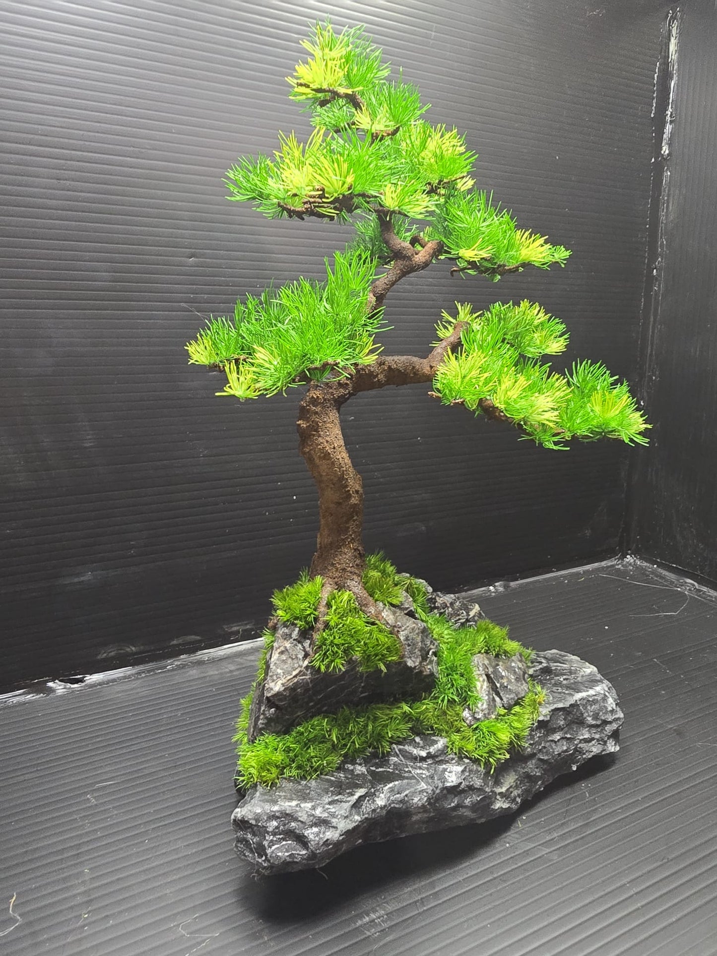 “Quiet Elevation” — Preserved Botanical Sculpture D02