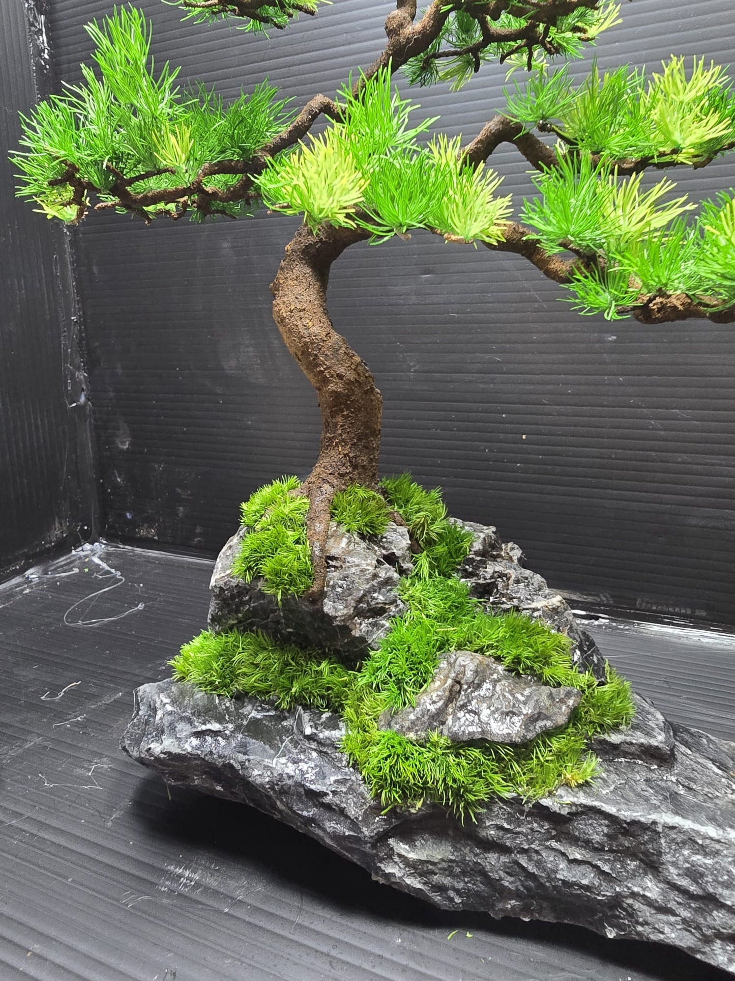 “Quiet Elevation” — Preserved Botanical Sculpture D02