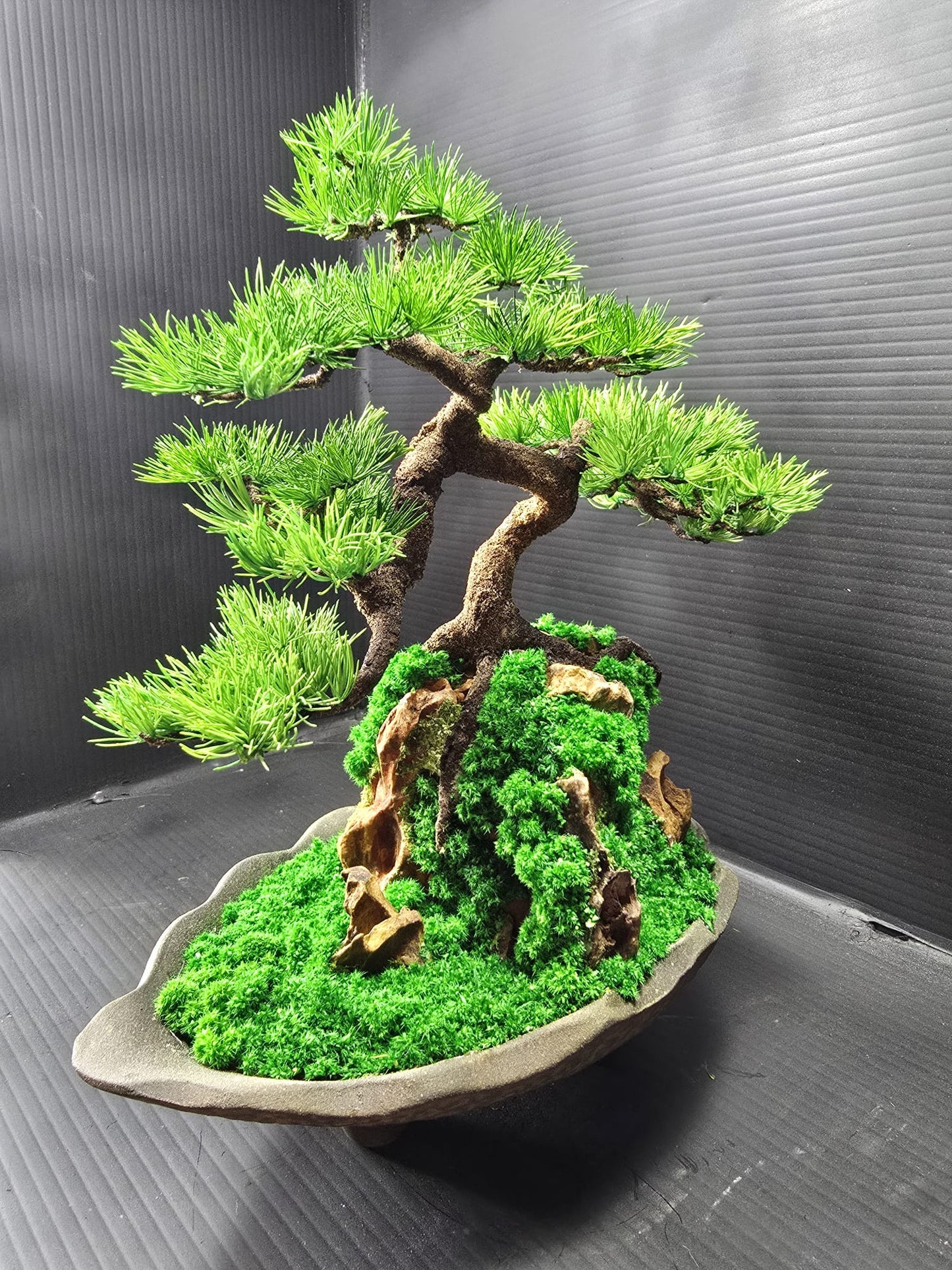 "Rooted Serenity" - Preserved Botanical Sculpture D03