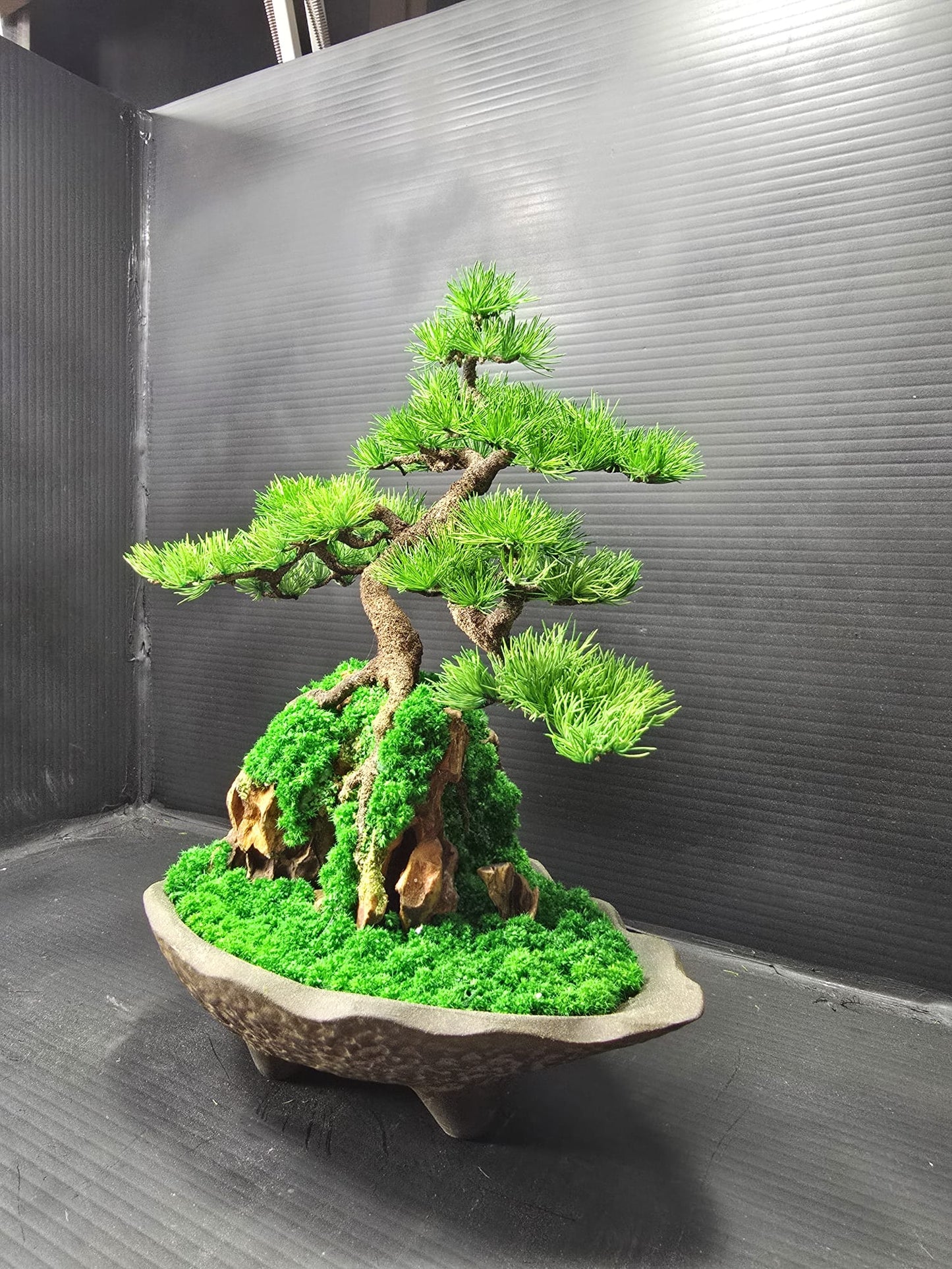 "Rooted Serenity" - Preserved Botanical Sculpture D03