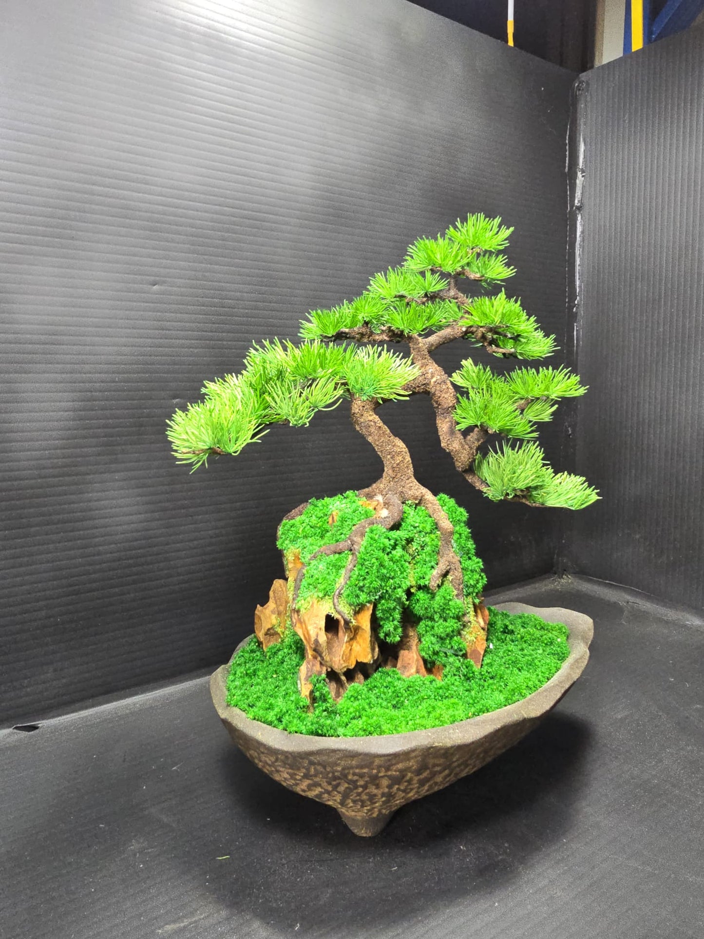 "Rooted Serenity" - Preserved Botanical Sculpture D03