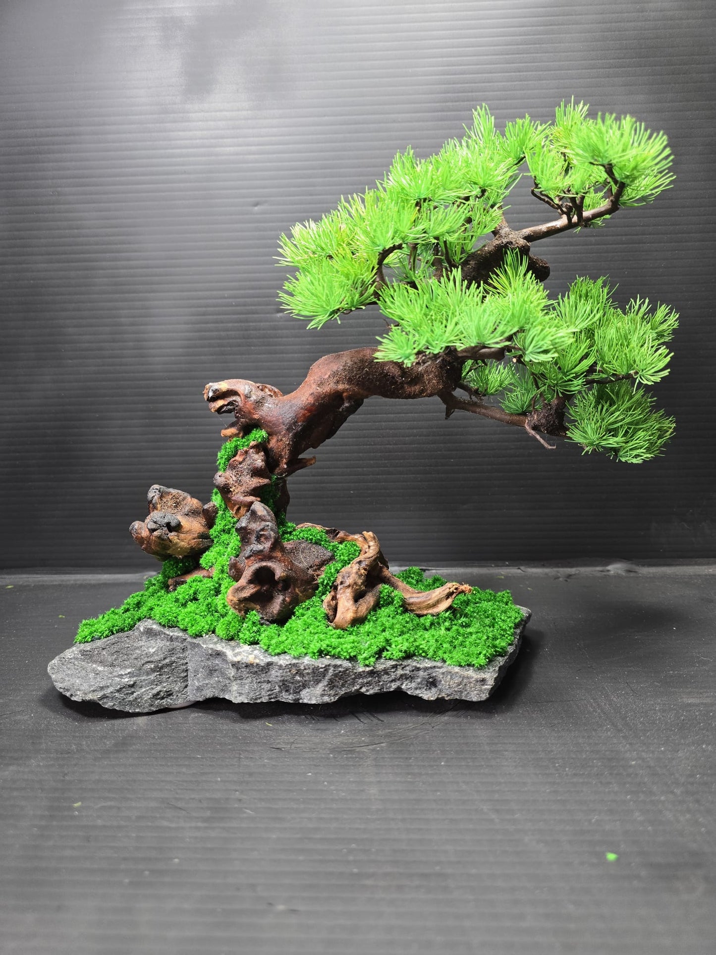 "Windswept Horizon" - Preserved Botanical Sculpture D04