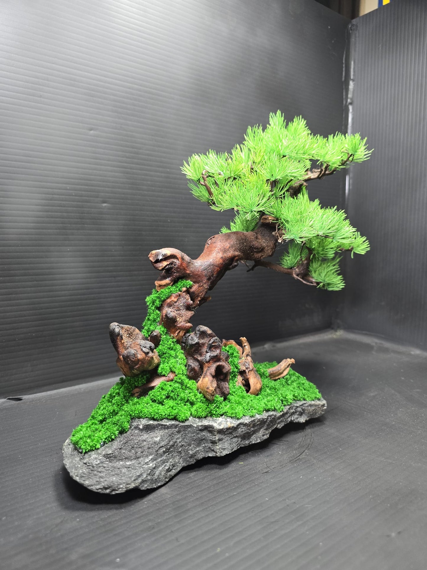 "Windswept Horizon" - Preserved Botanical Sculpture D04